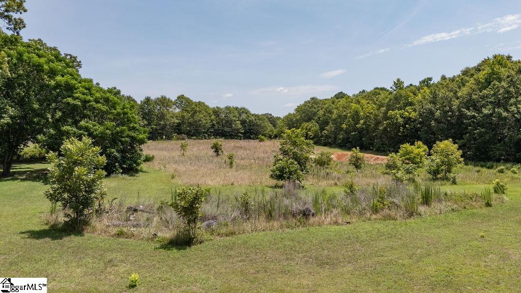 2935 14, Laurens, South Carolina image 8