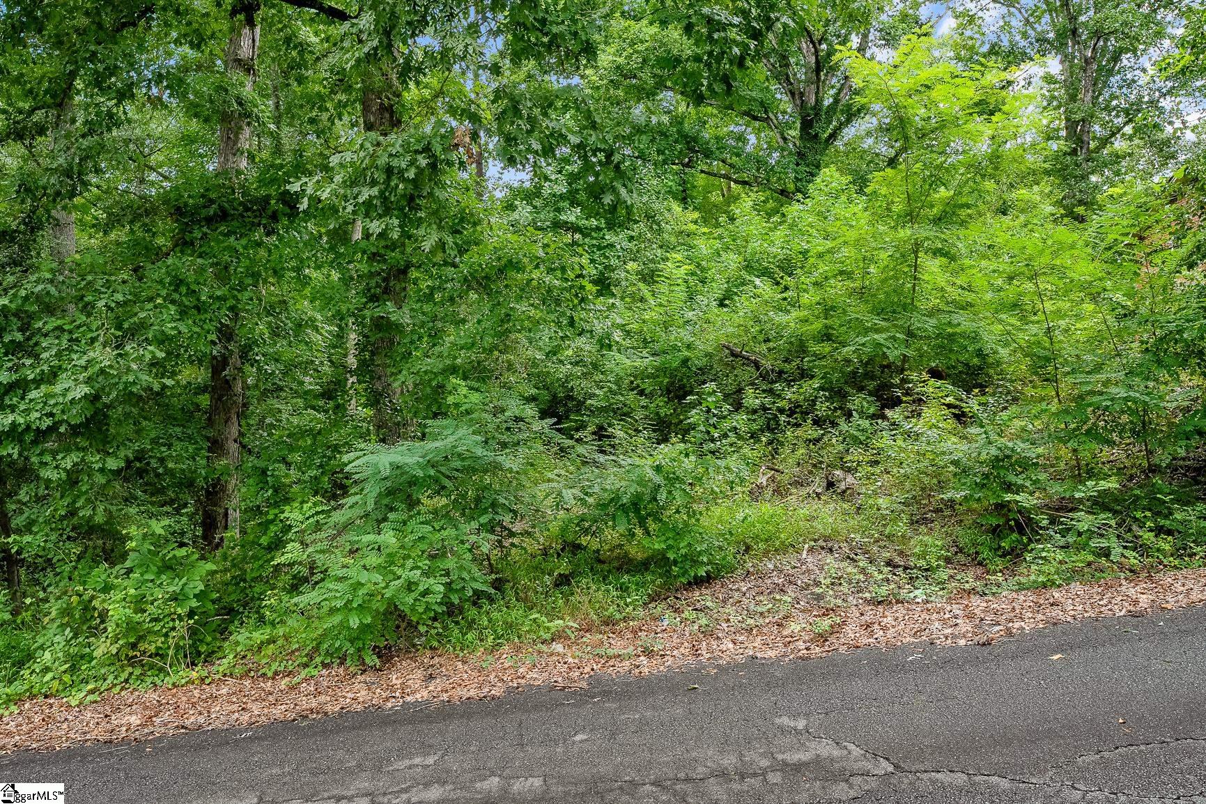 4 Park, Williamston, South Carolina image 8
