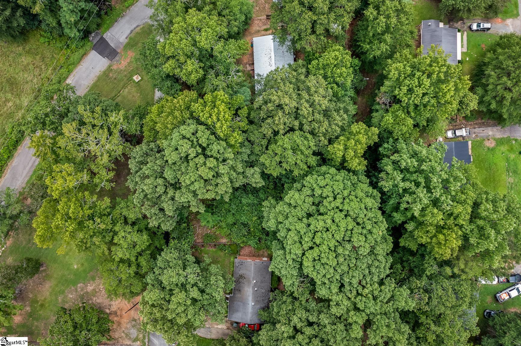 4 Park, Williamston, South Carolina image 9
