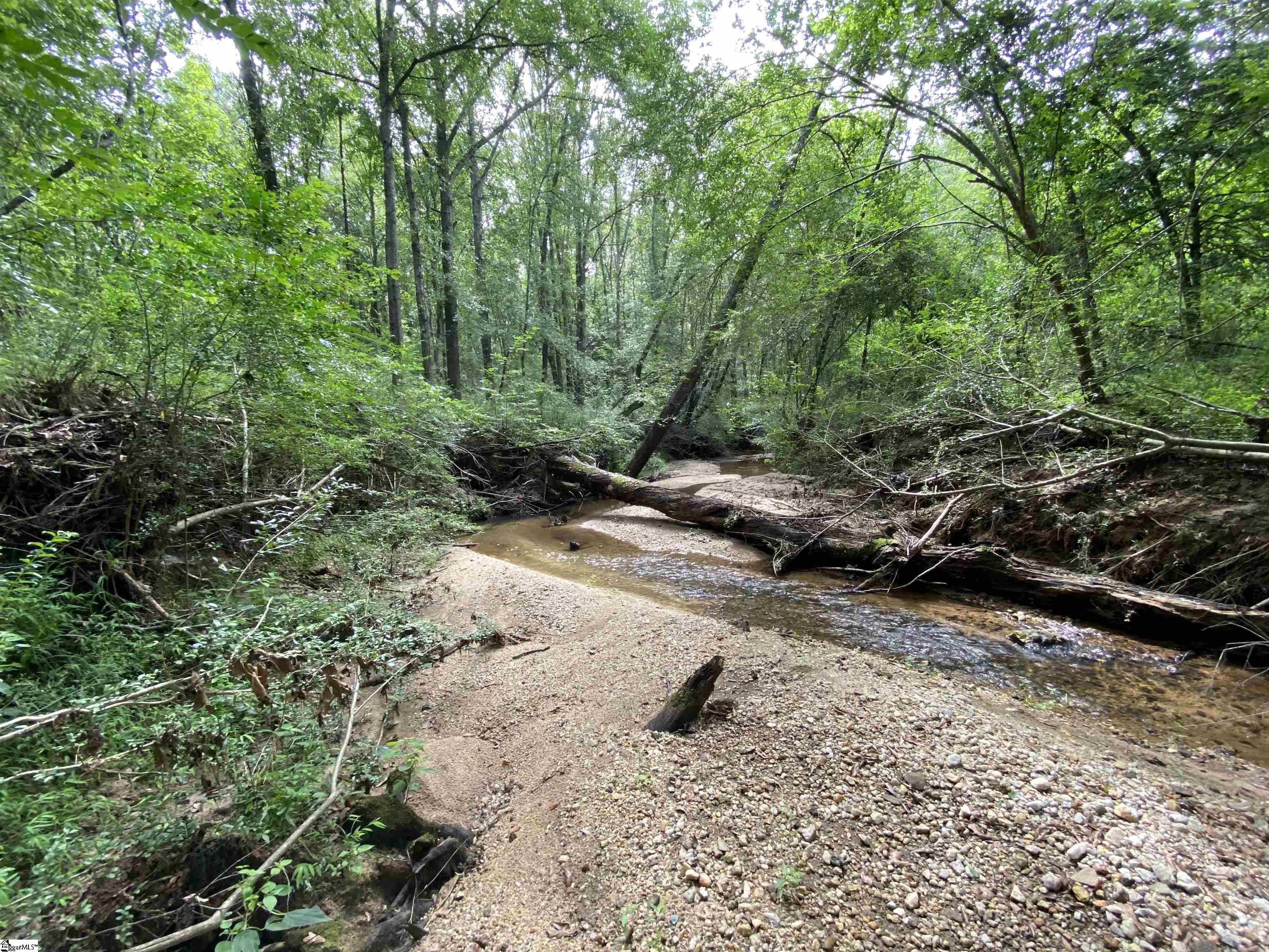 300 Oak Tree, Honea Path, South Carolina image 2