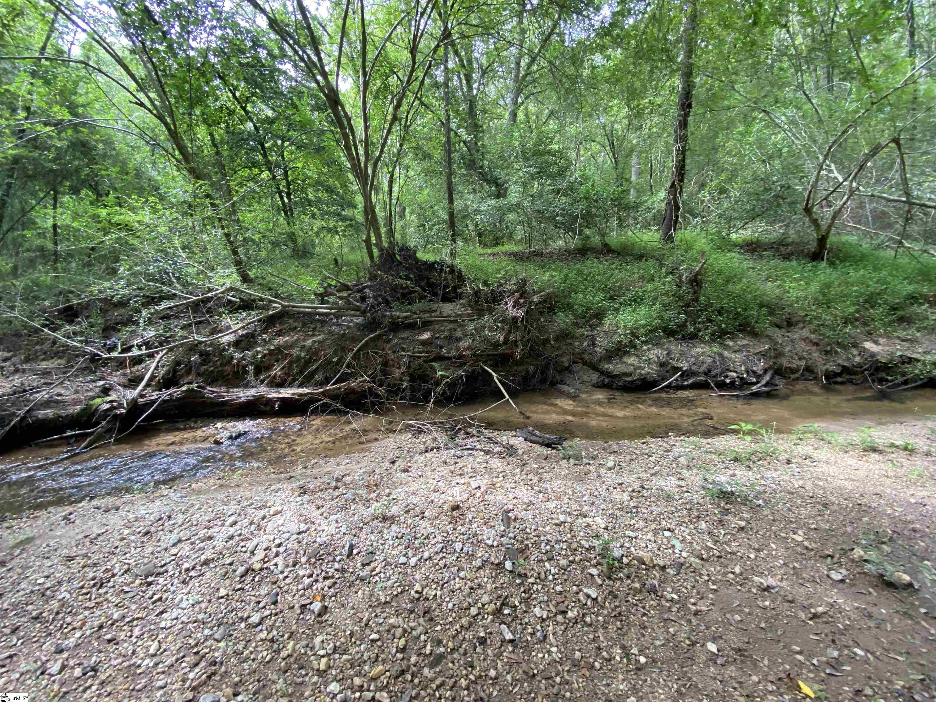 300 Oak Tree, Honea Path, South Carolina image 3