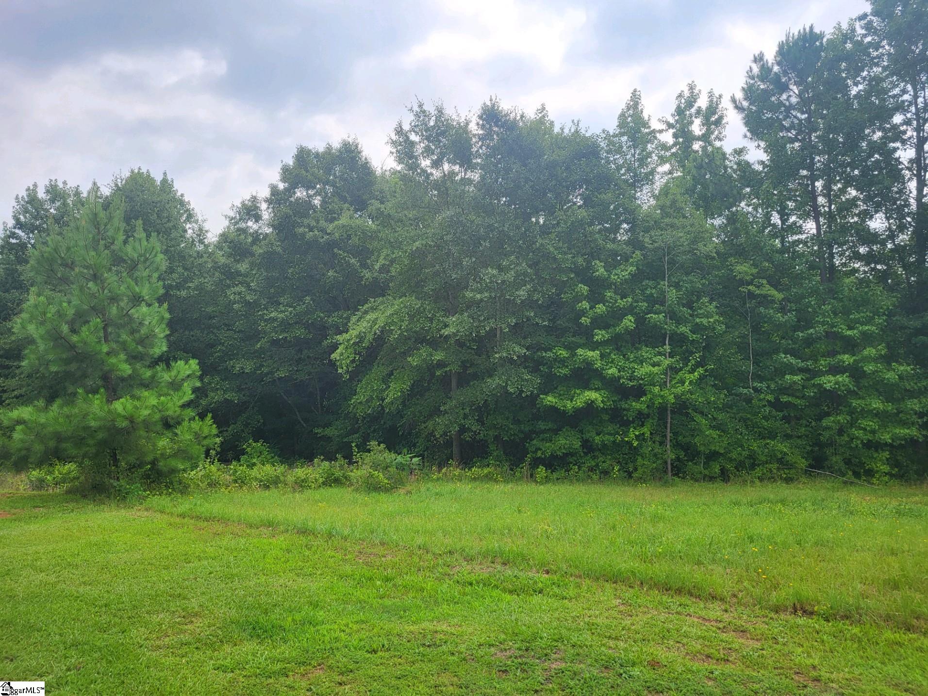 960 Clark, Inman, South Carolina image 1