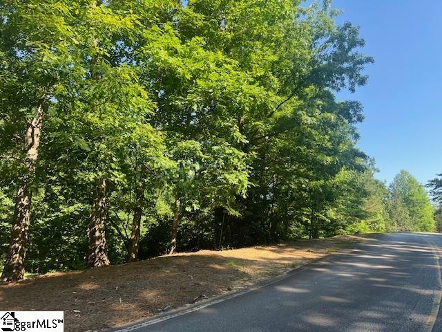 101 Grey Widgeon Trail, Marietta SC 29661
