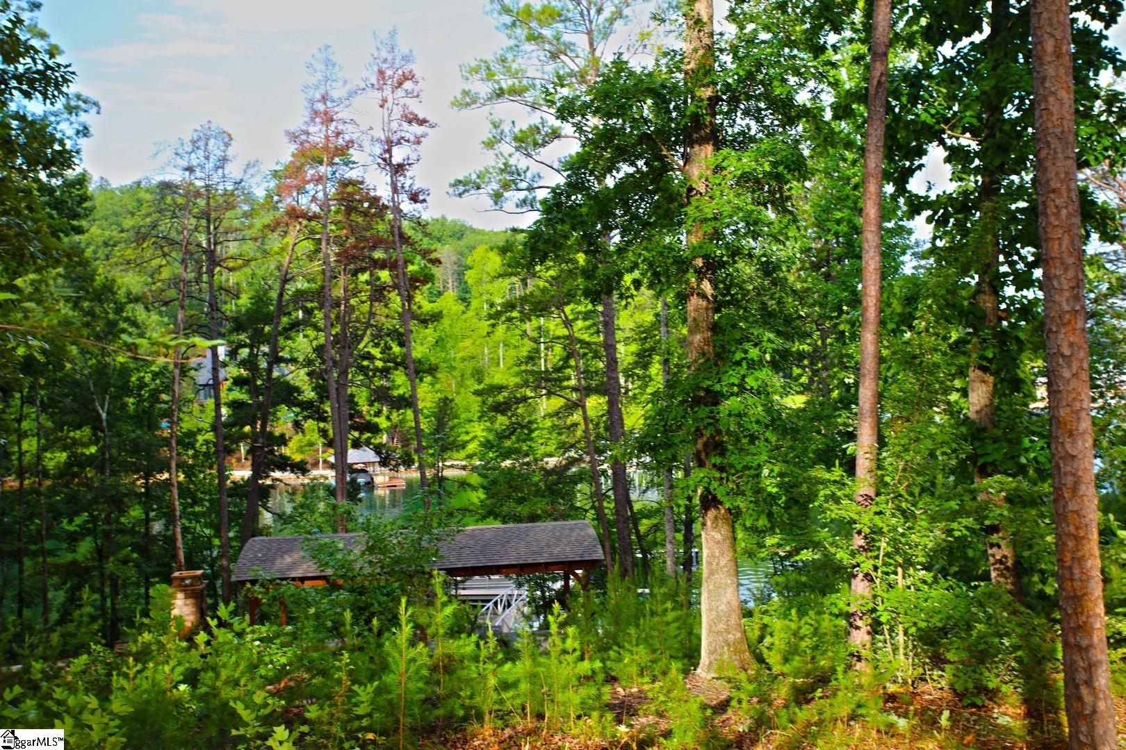 223 Squirrel, Six Mile, South Carolina image 22