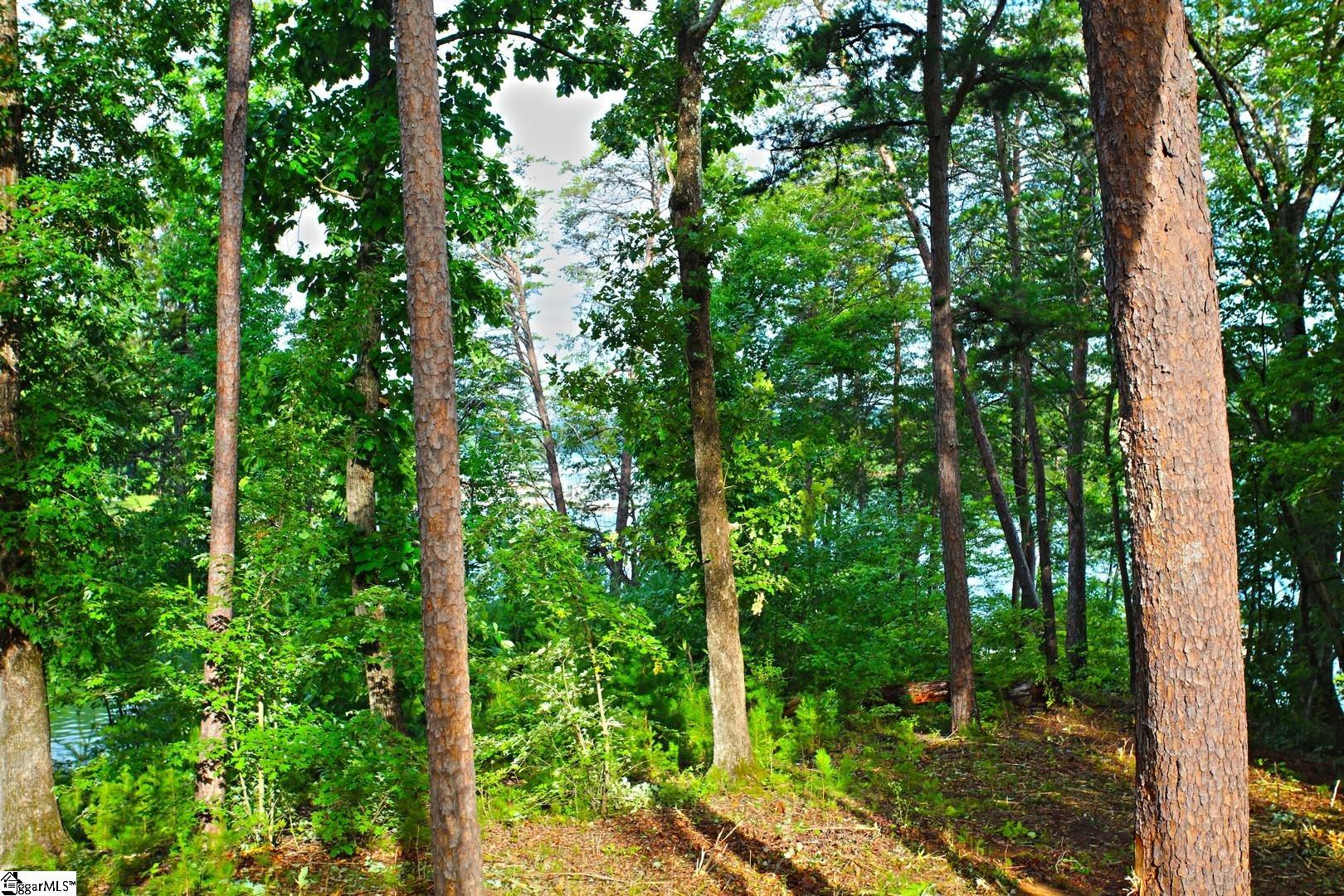 223 Squirrel, Six Mile, South Carolina image 23