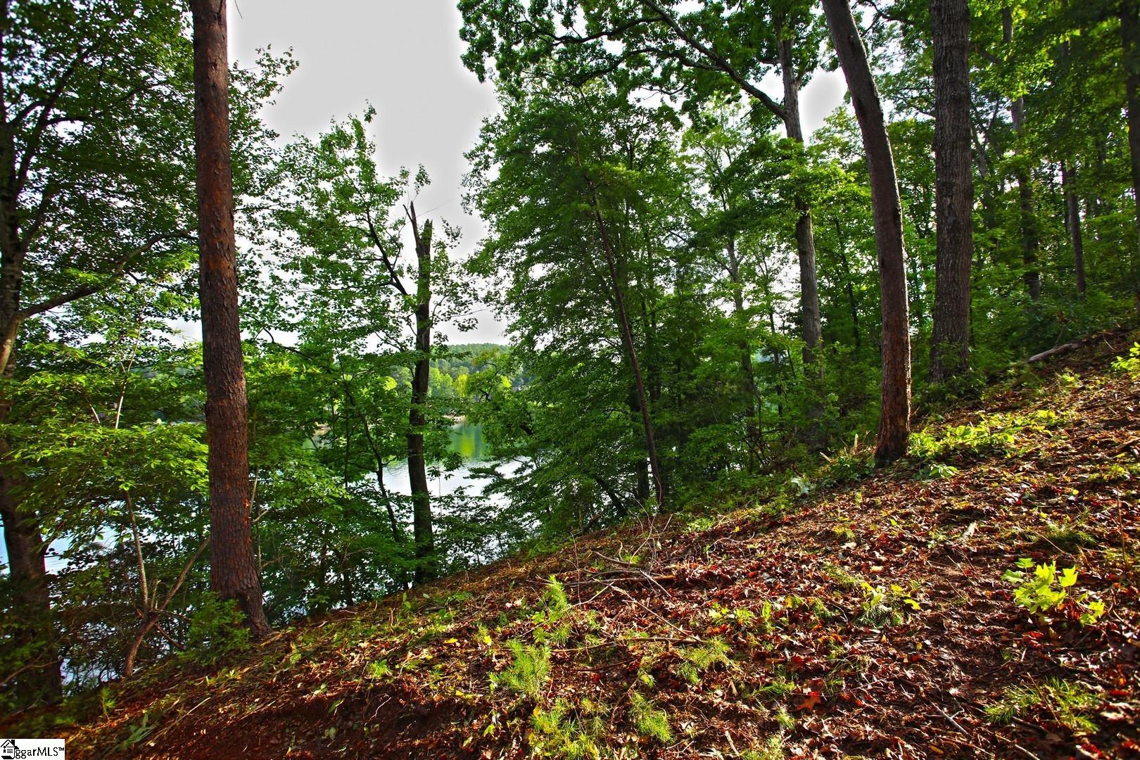 223 Squirrel, Six Mile, South Carolina image 26