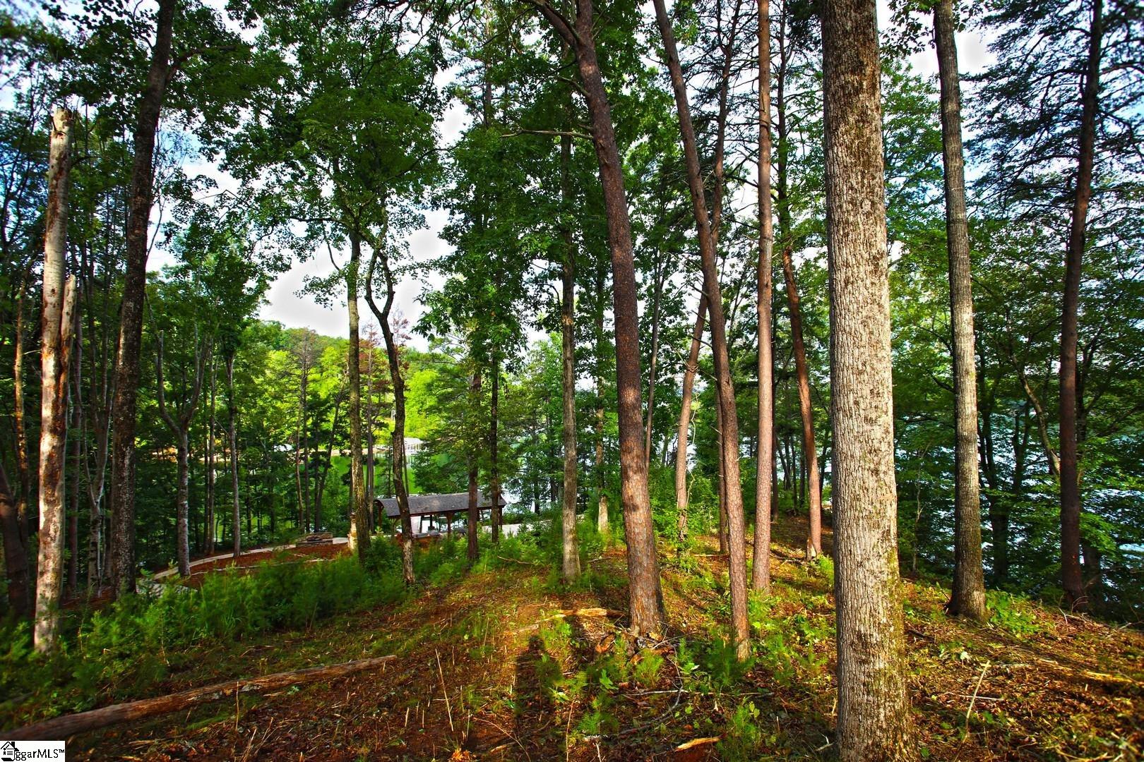 223 Squirrel, Six Mile, South Carolina image 27