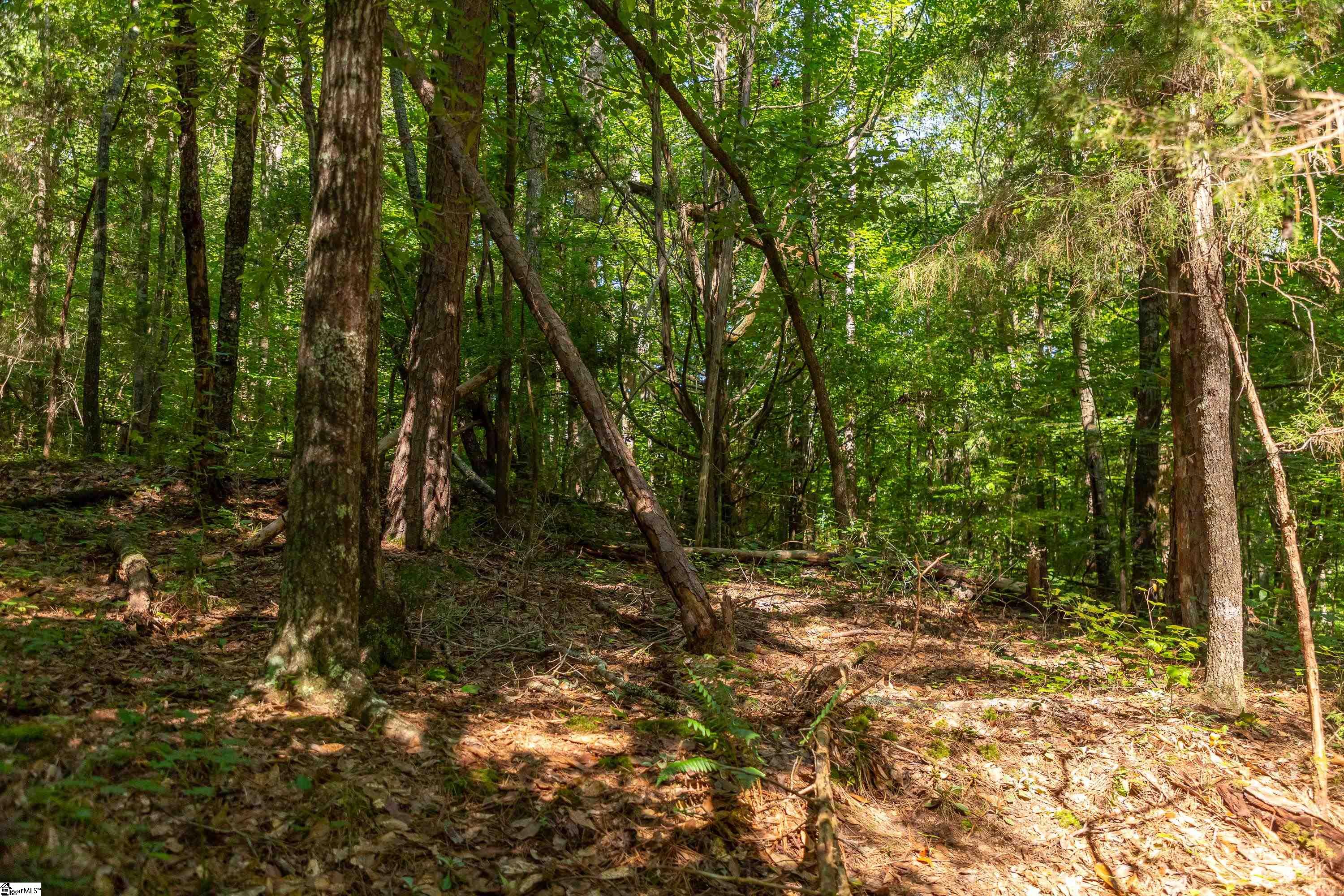 7588 Ekom Beach, Ware Shoals, South Carolina image 17