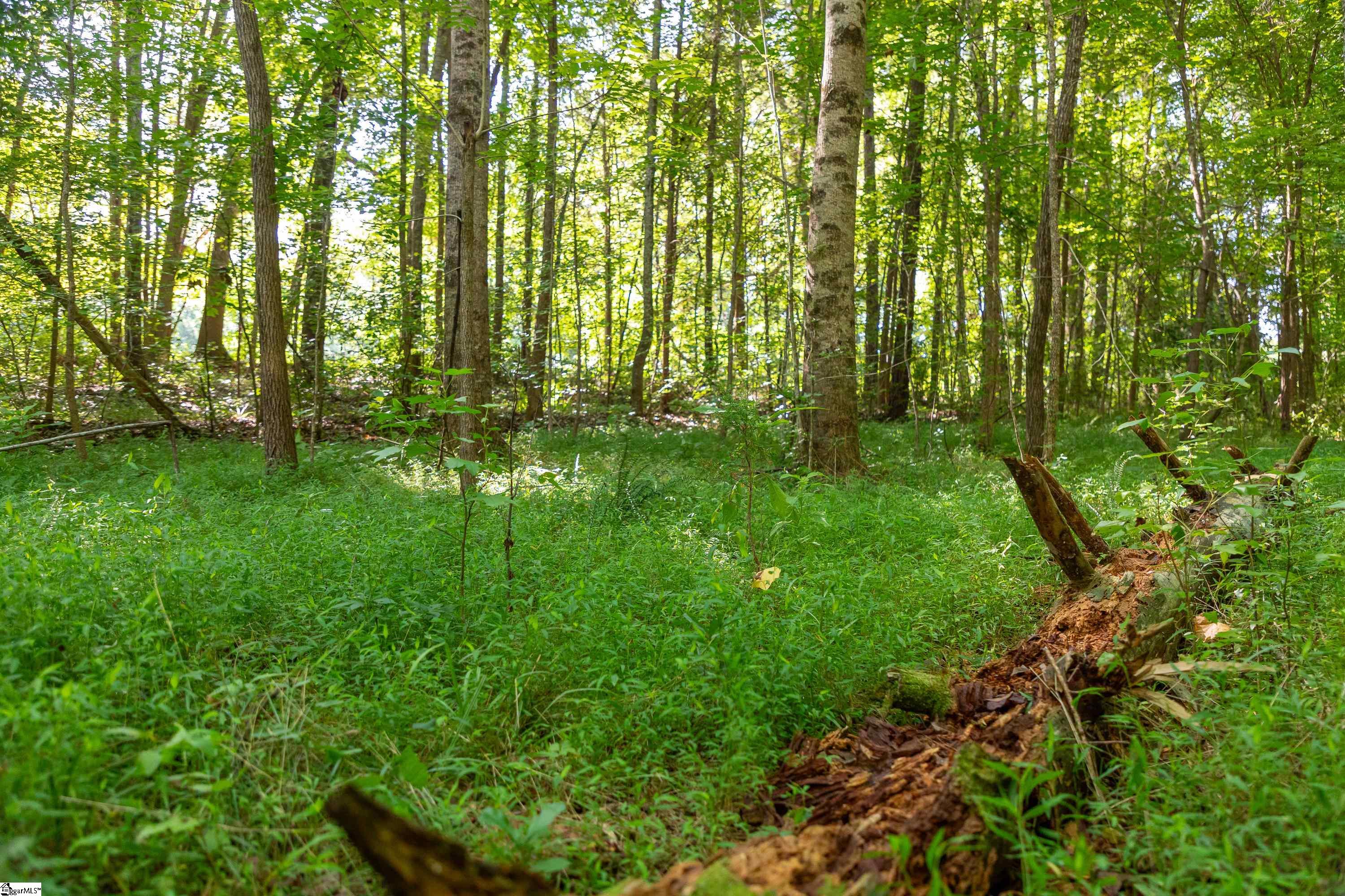 7588 Ekom Beach, Ware Shoals, South Carolina image 21