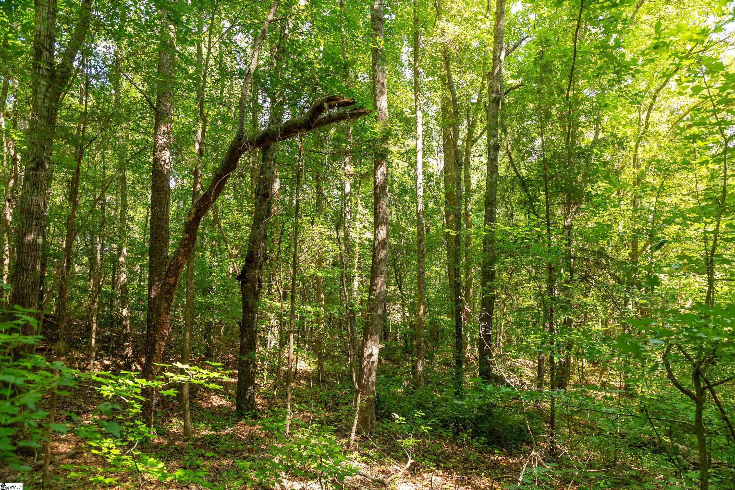 7588 Ekom Beach, Ware Shoals, South Carolina image 25