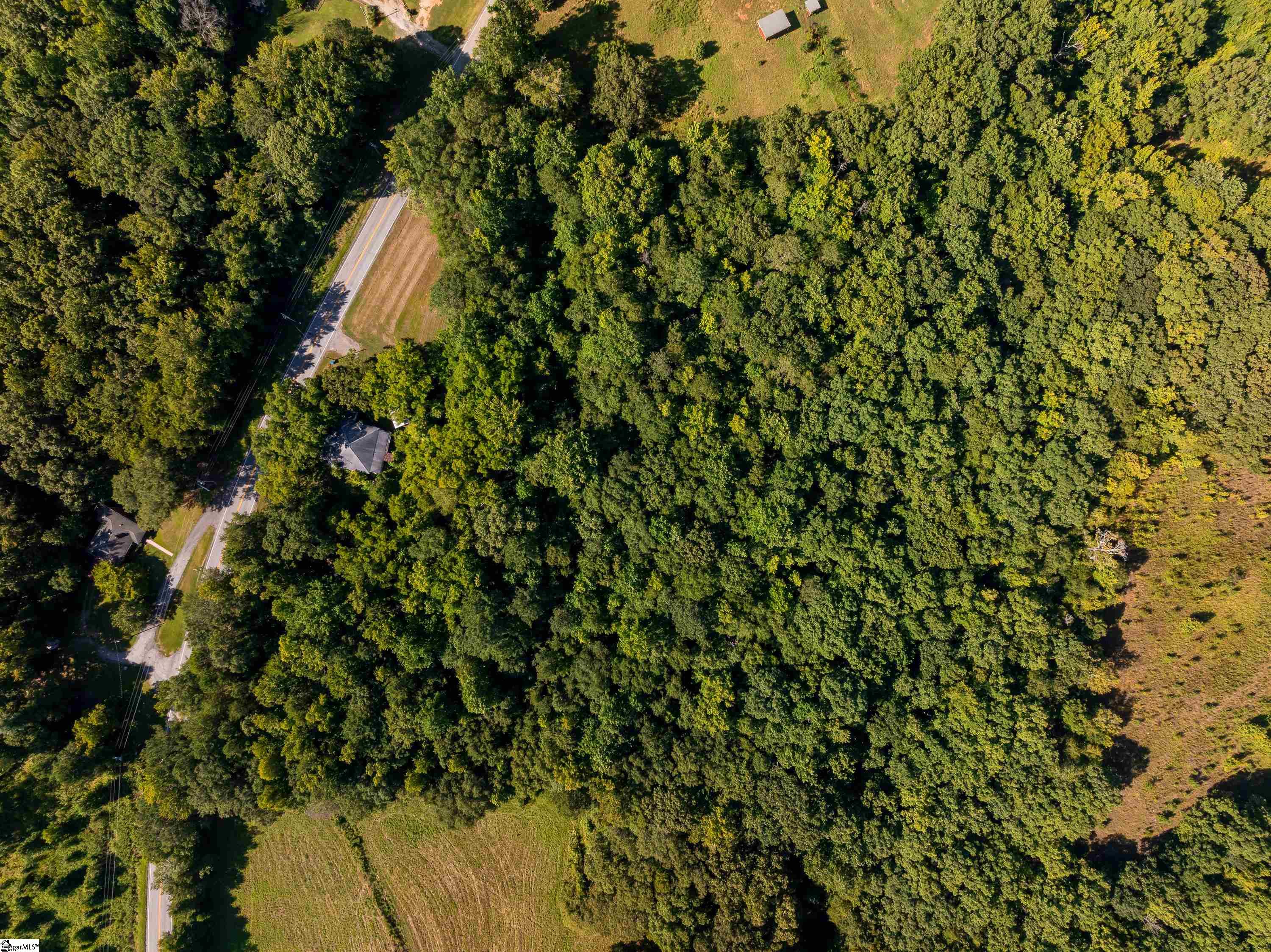 7588 Ekom Beach, Ware Shoals, South Carolina image 6