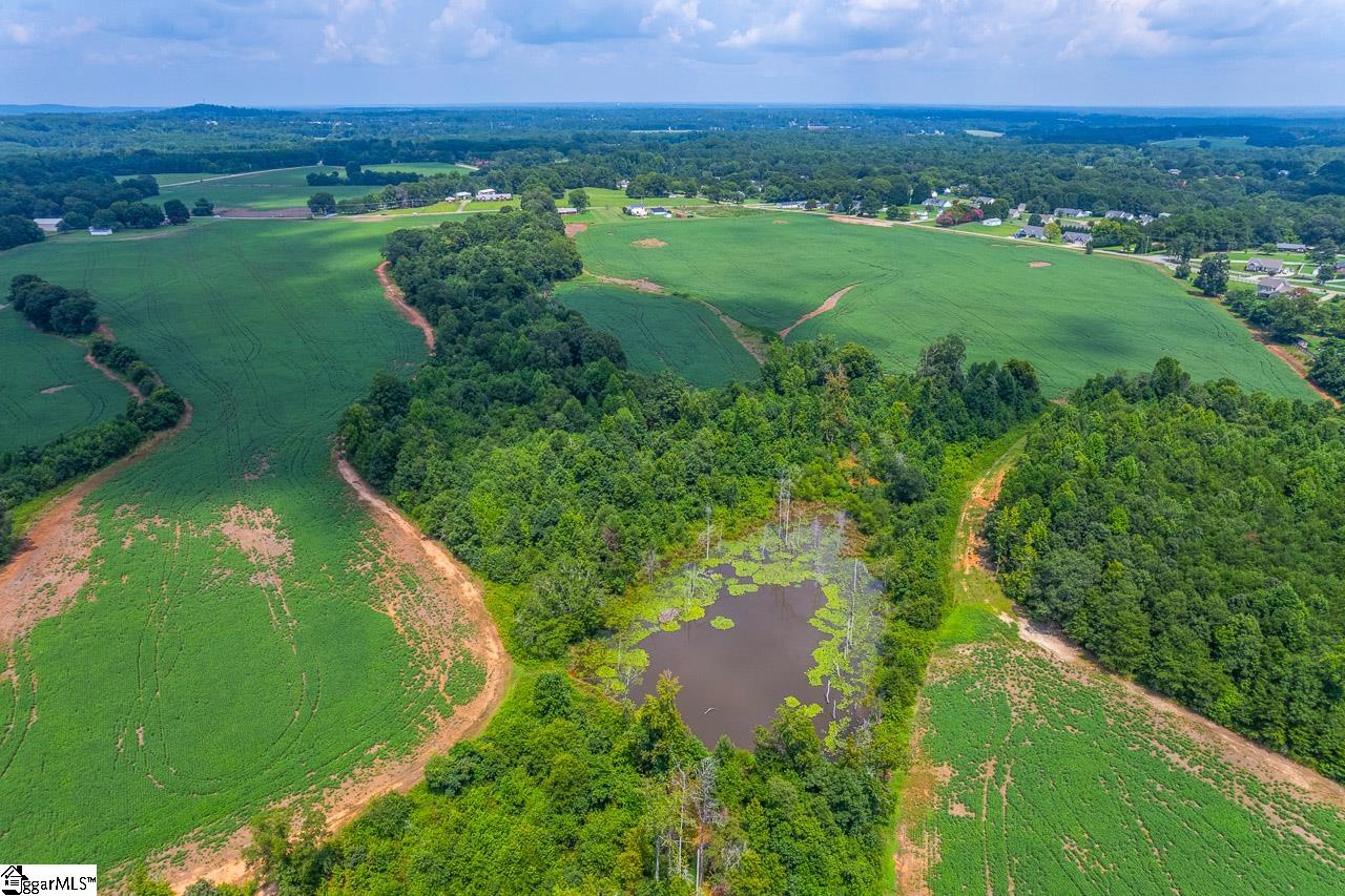 New Cut, Inman, South Carolina image 11