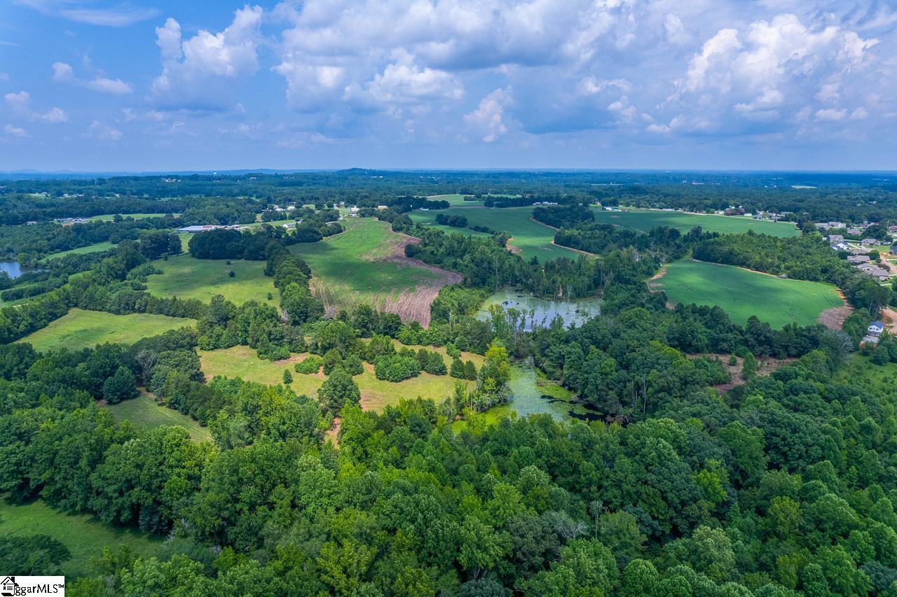New Cut, Inman, South Carolina image 14