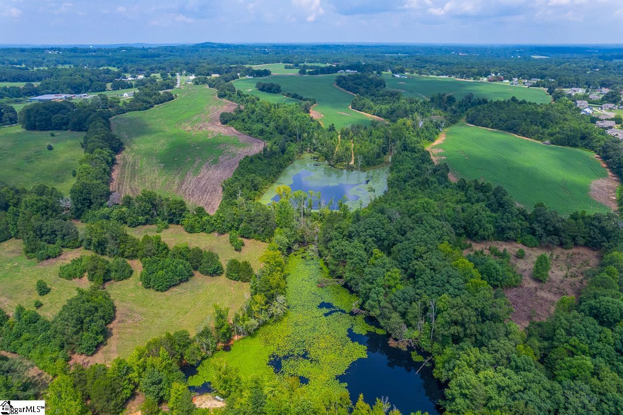 New Cut, Inman, South Carolina image 15