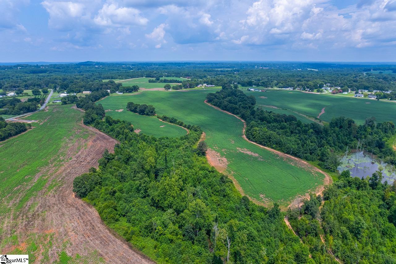 New Cut, Inman, South Carolina image 17