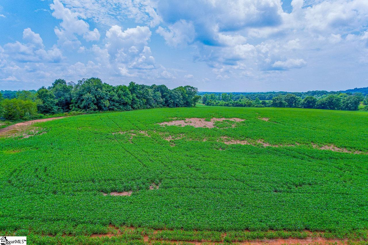 New Cut, Inman, South Carolina image 24