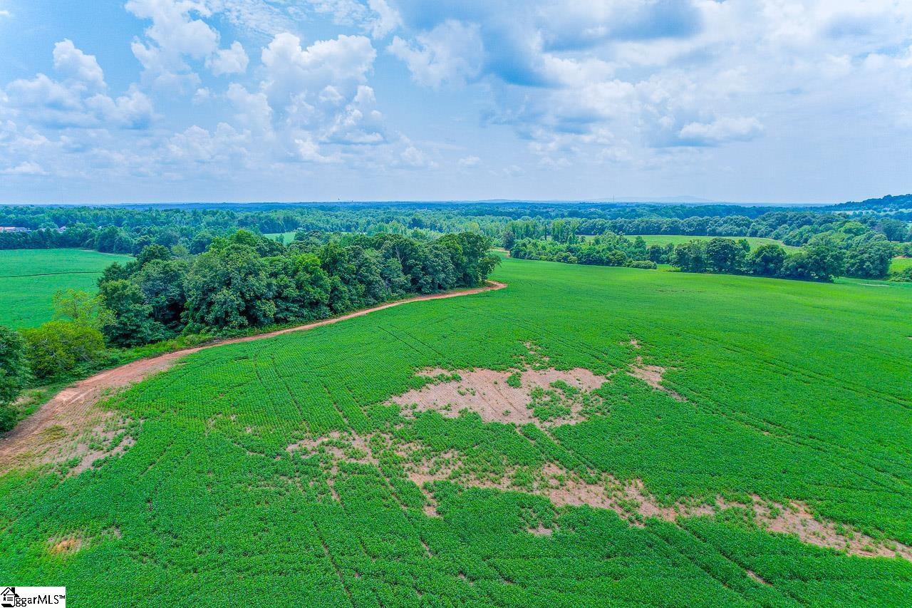 New Cut, Inman, South Carolina image 25