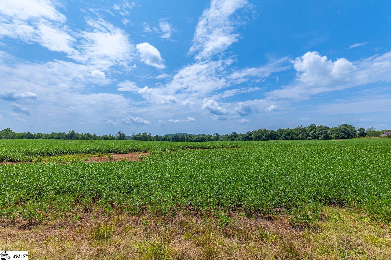 New Cut, Inman, South Carolina image 5