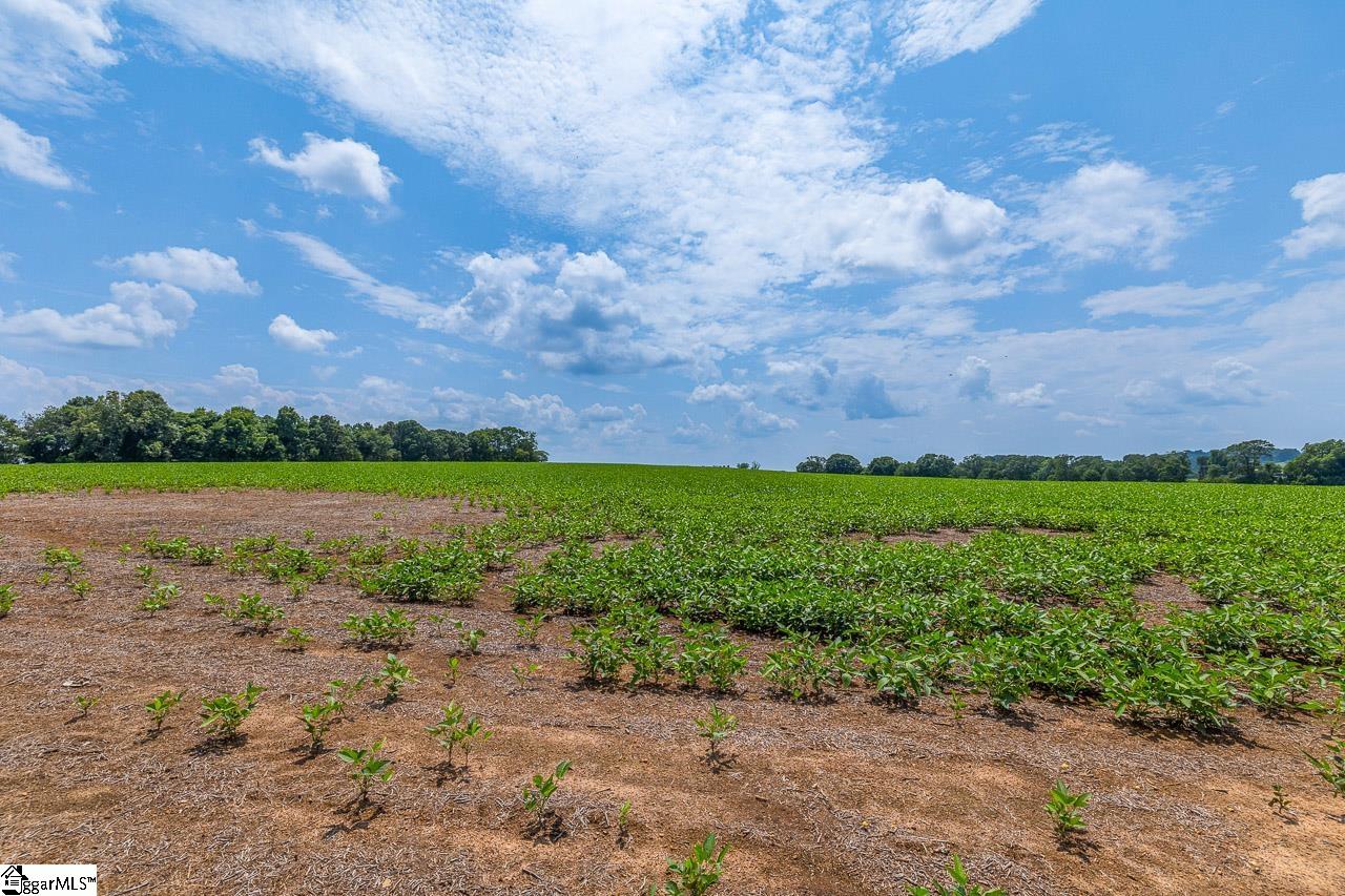 MLS #1533597 image #4