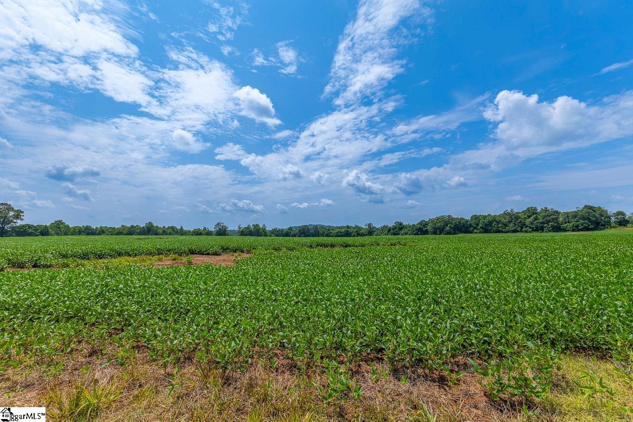 New Cut, Inman, South Carolina image 6