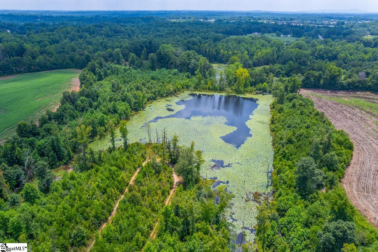 New Cut, Inman, South Carolina image 10