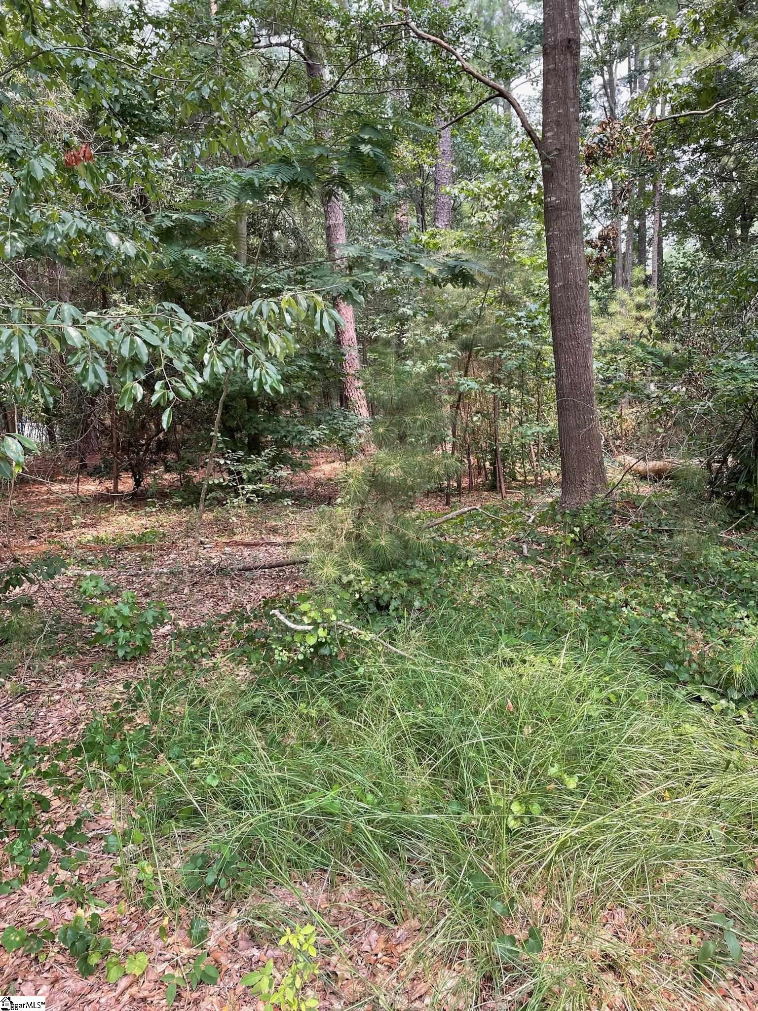 Two Interior Lake Hartwell Lots, sold together, to total .58 acres is waiting for you to build your dream home or place a mobile home!  Will sell individually, with acceptable contract.  At one time a mobile home was on the property.  Anderson County Zoned R-10 which allows mobile homes (no singlewides) and also located in the Royal American Overlay District which was developed for the intent to protect the residential area due to proximity to I-85.  More detailed information is available upon request about the zoning and overlay district.  Located in a quiet neighborhood on a cul-de-sac with no HOA.  You'll enjoy the close access to I-85 and Clemson Blvd which makes this a convenient location for shopping, restaurants and entertainment.  Hurricane Creek Boat Ramp is just around the corner for ease of lake access!  Come make Driftwood Way your new homesite today!