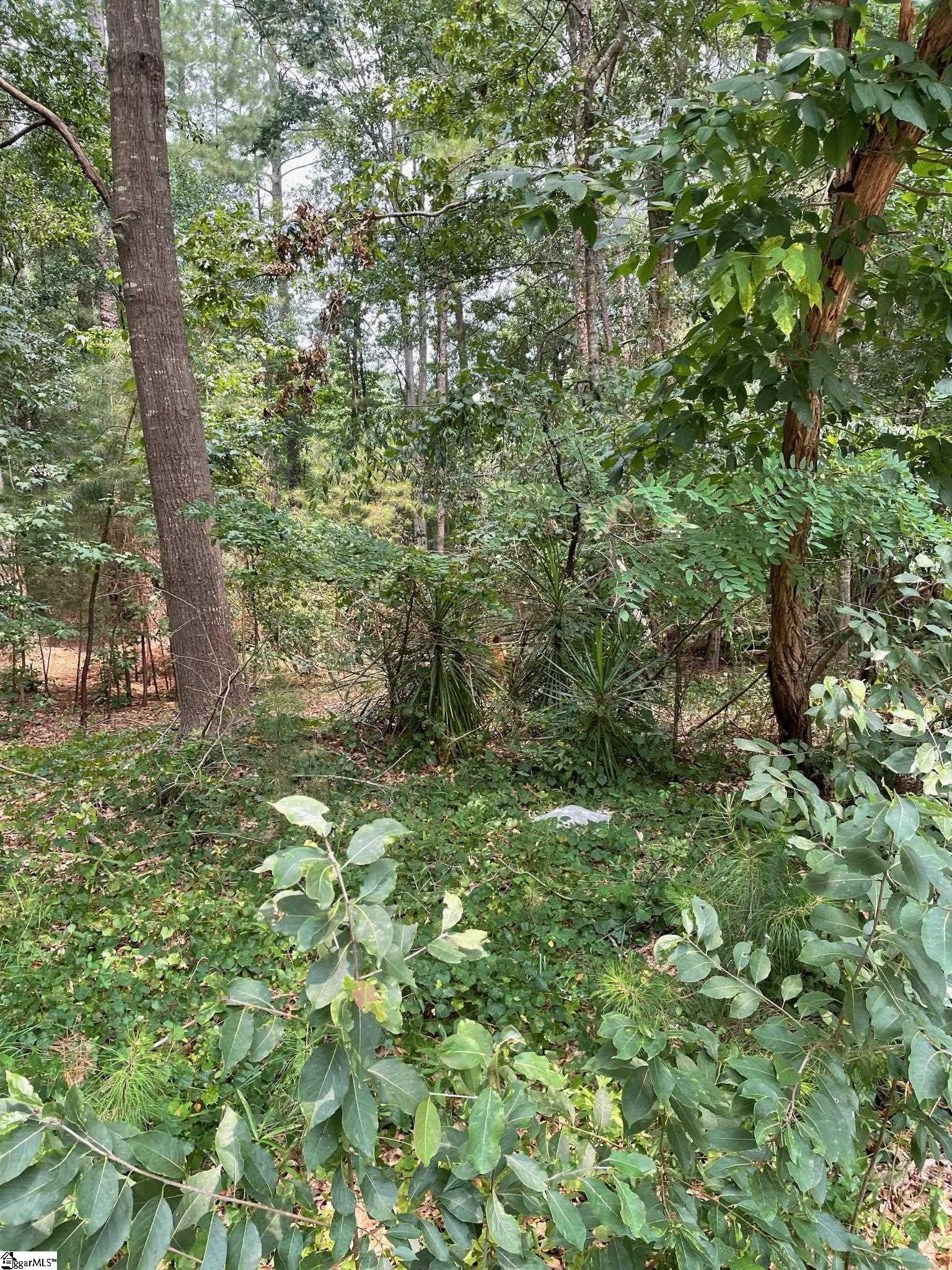 00 Driftwood Way Lot 30 and Lot 31