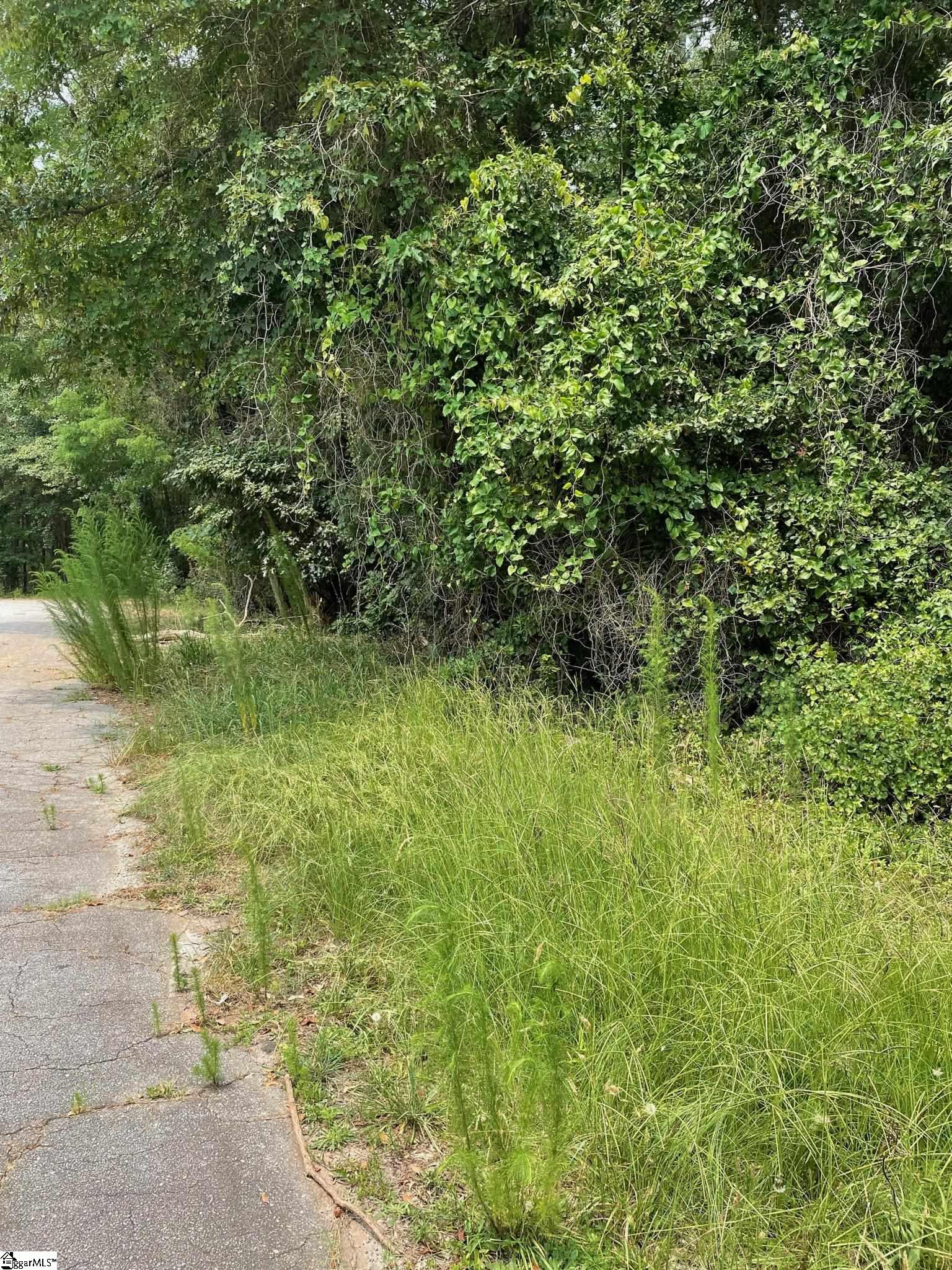 00 Driftwood Way Lot 30 and Lot 31