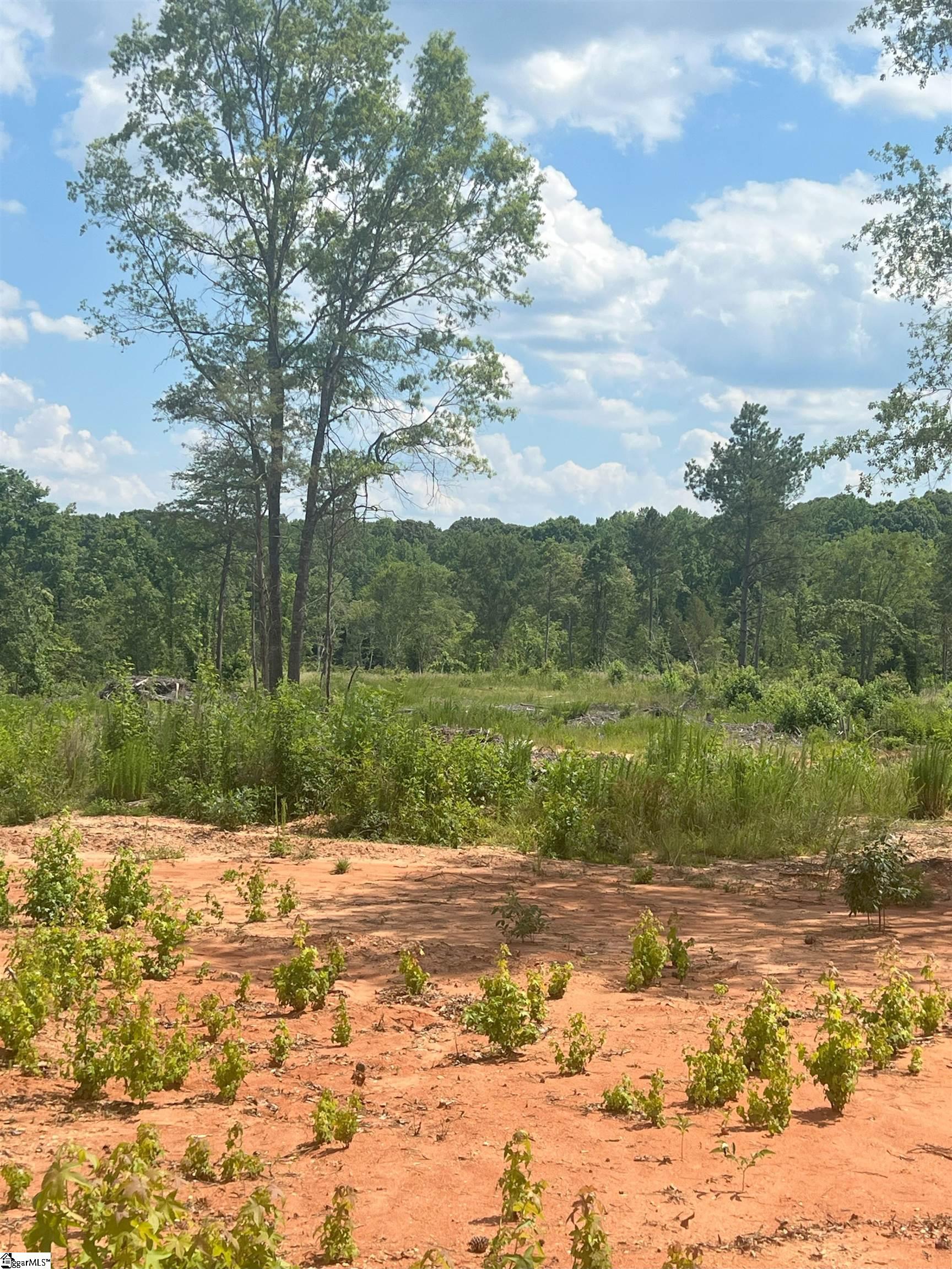 00 Casey, Woodruff, South Carolina image 2