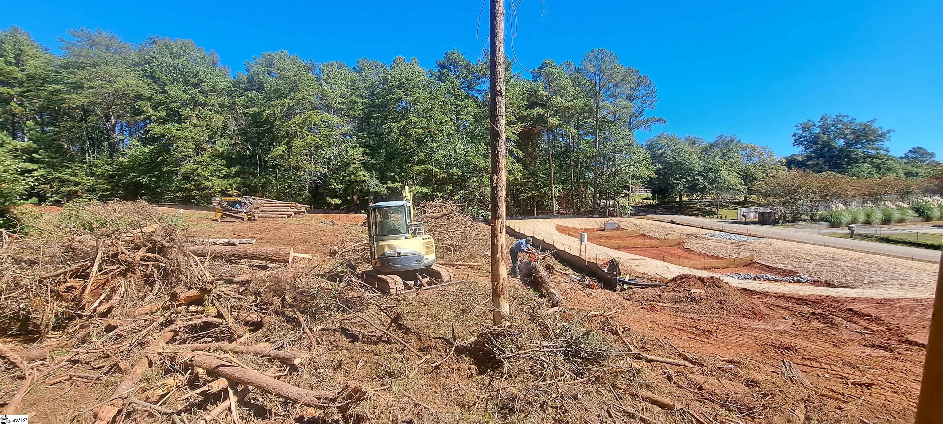 Trees and Debris Removal for Neighborhood Road Access