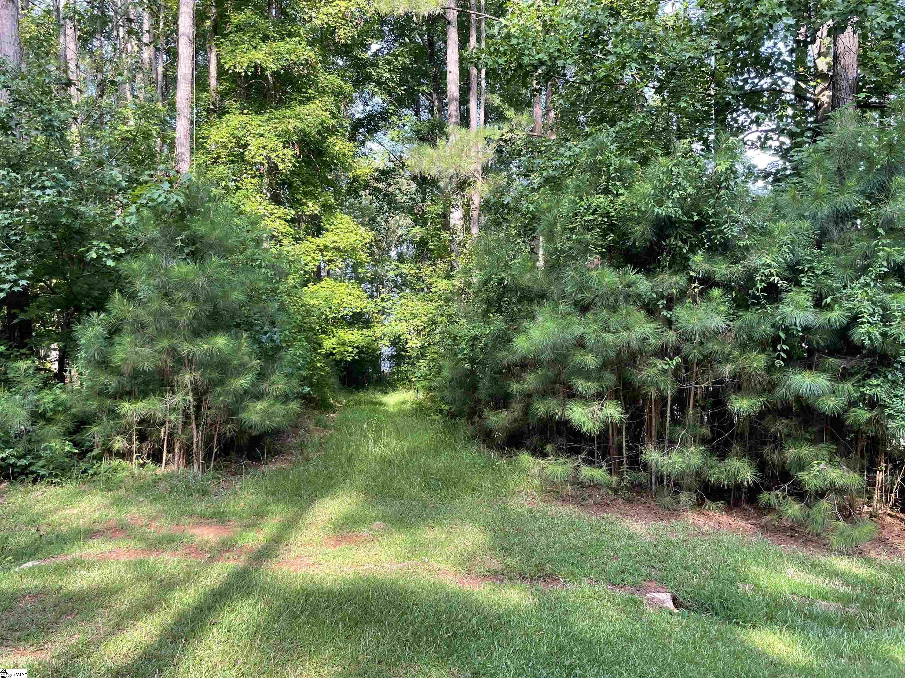 91 Point Arrowhead, Cross Hill, South Carolina image 2