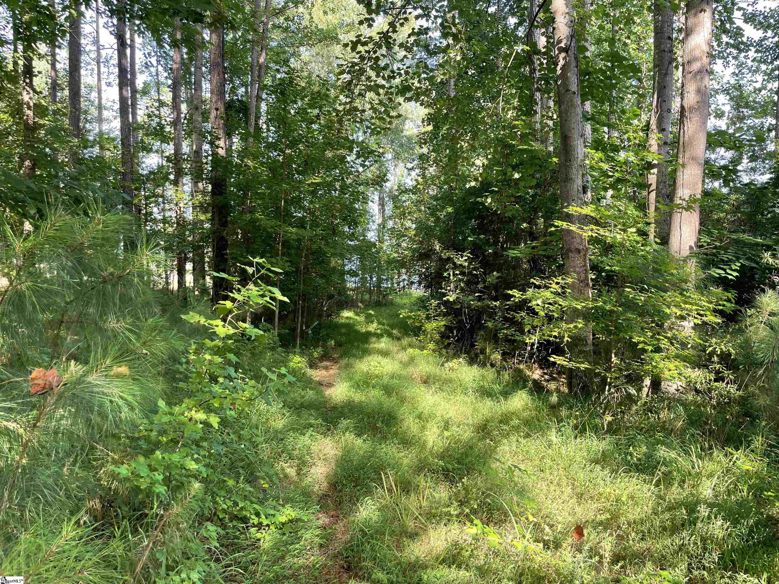 91 Point Arrowhead, Cross Hill, South Carolina image 11