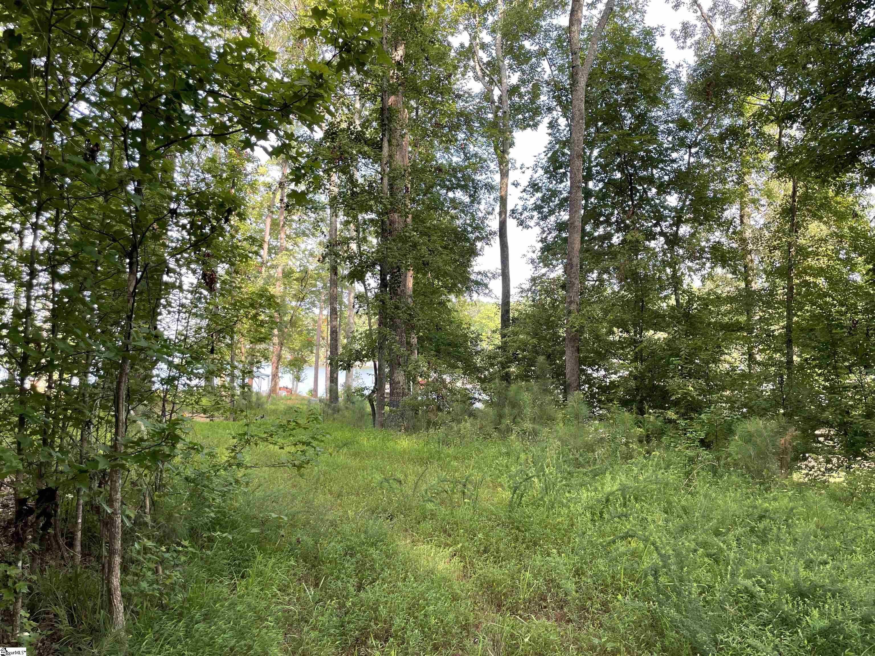 91 Point Arrowhead, Cross Hill, South Carolina image 15