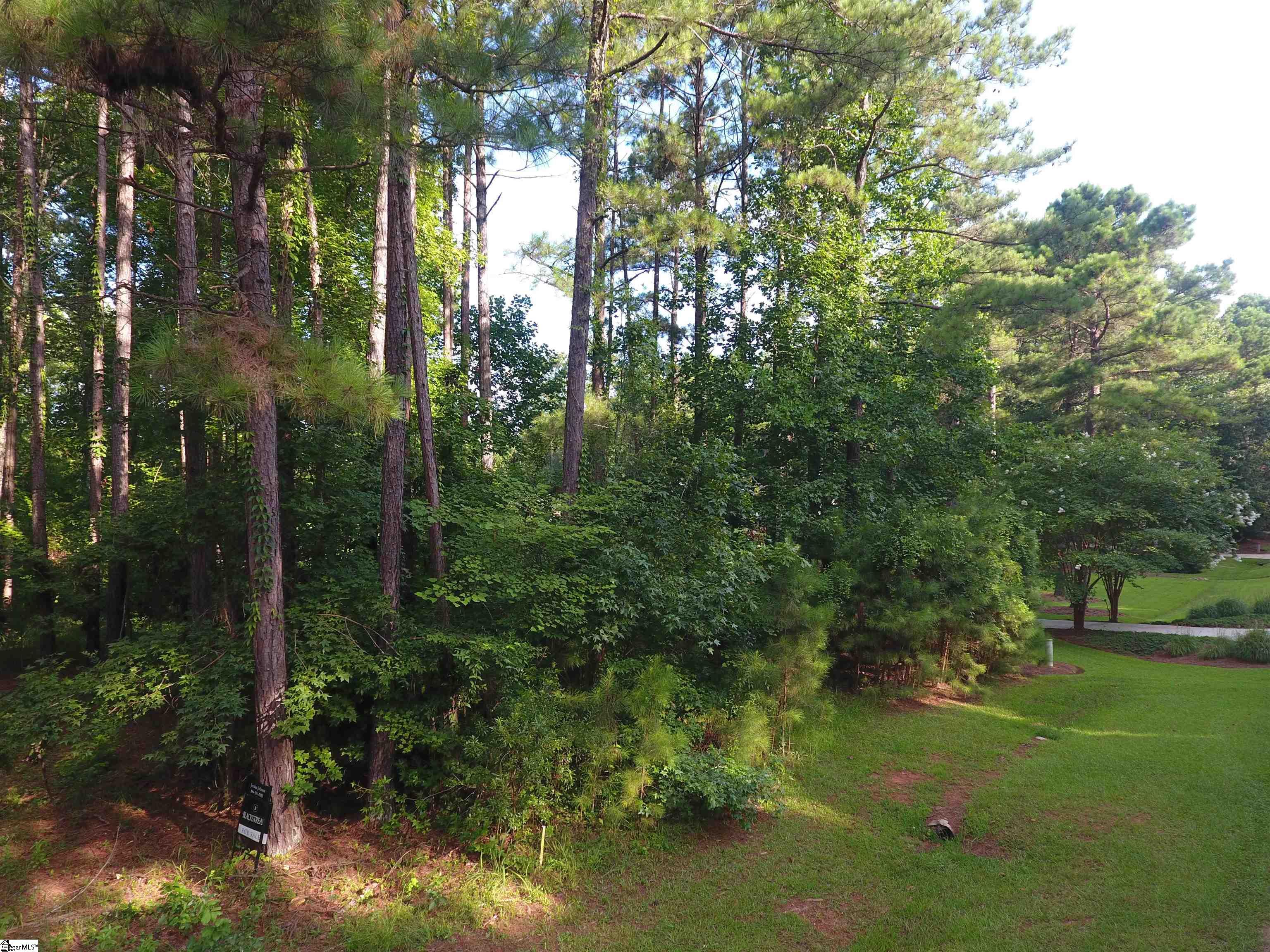 91 Point Arrowhead, Cross Hill, South Carolina image 16