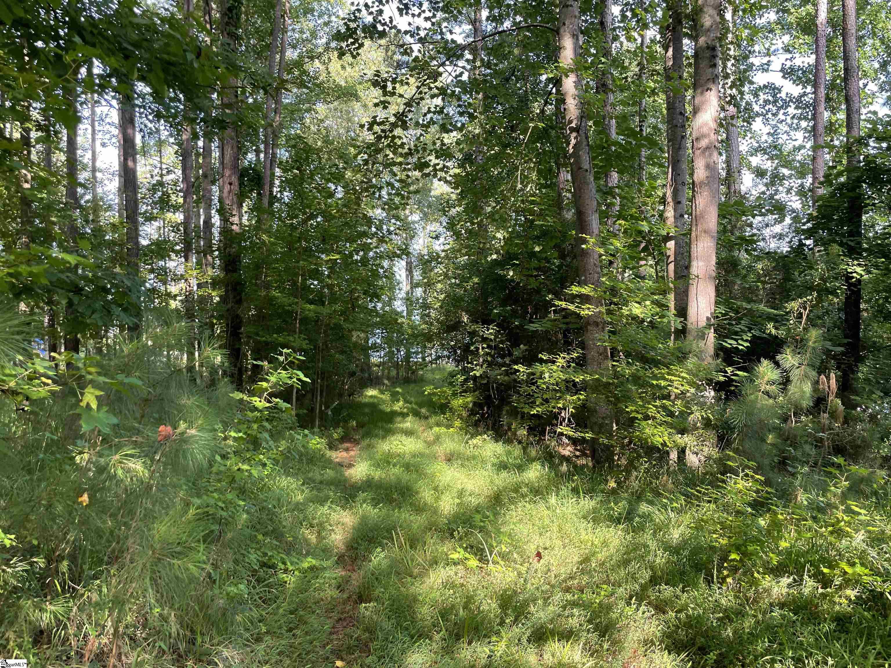 91 Point Arrowhead, Cross Hill, South Carolina image 9