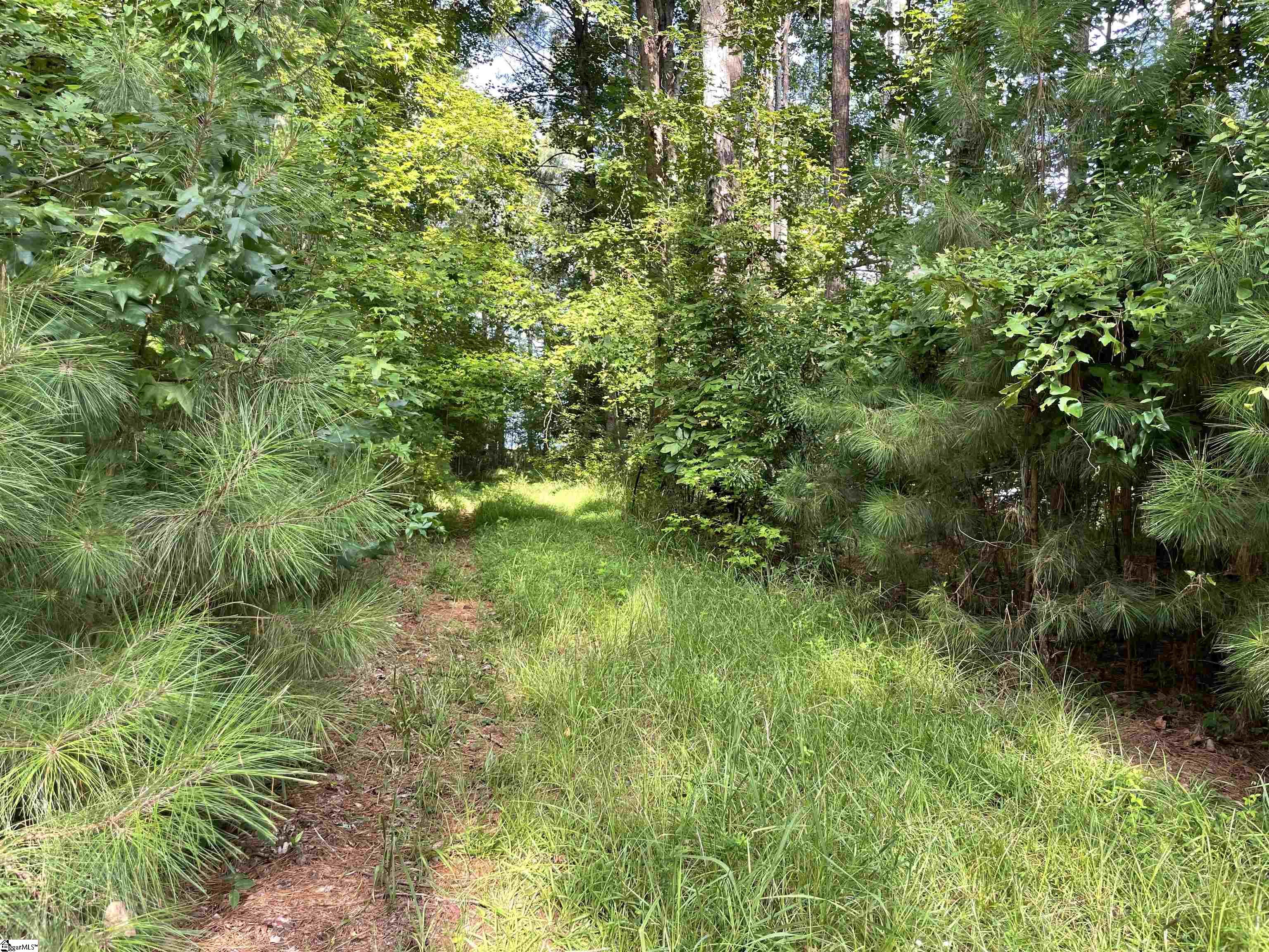 91 Point Arrowhead, Cross Hill, South Carolina image 10