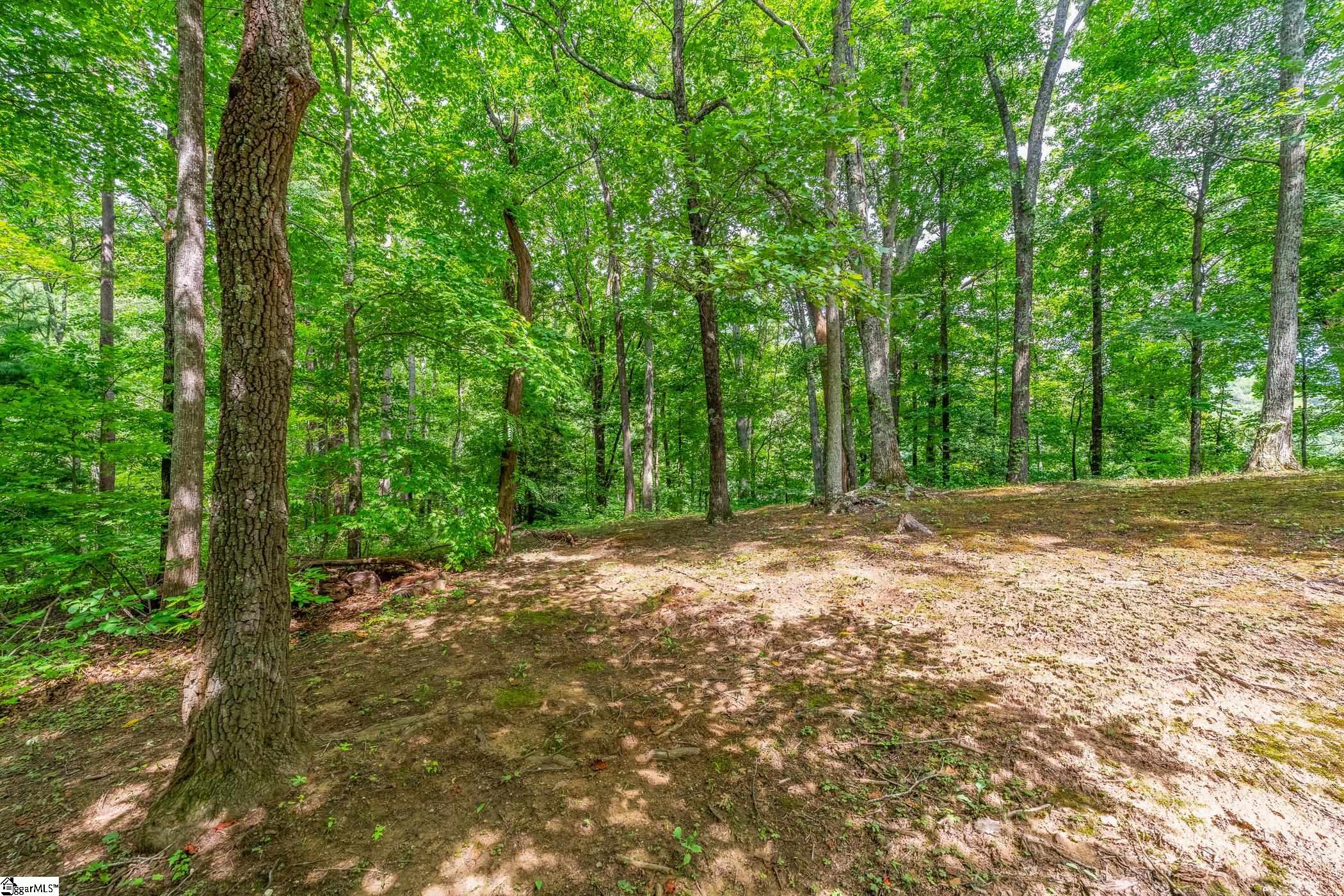 8 Granite Falls, Landrum, South Carolina image 2