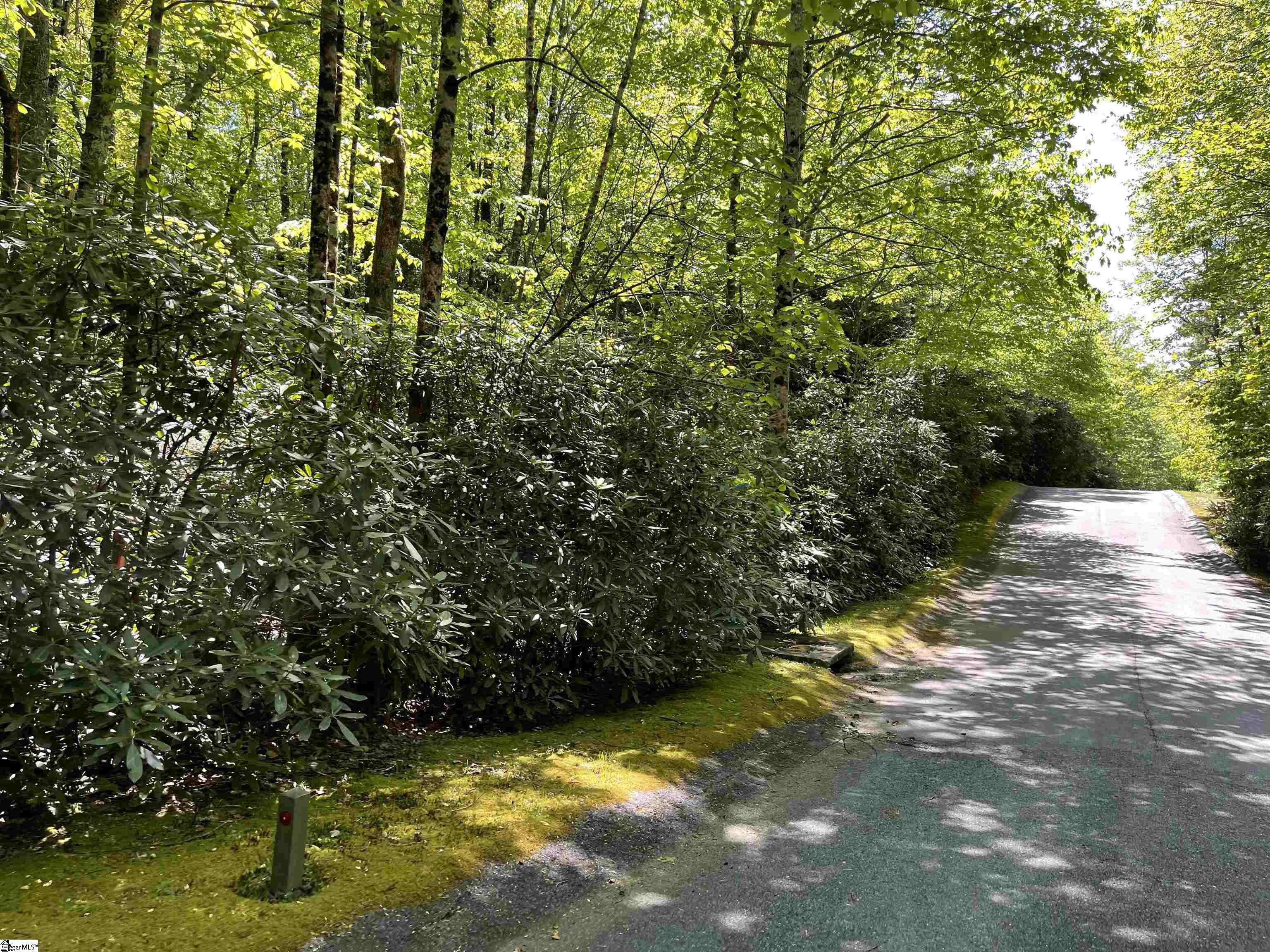 127 Conifer Falls, Cleveland, South Carolina image 2