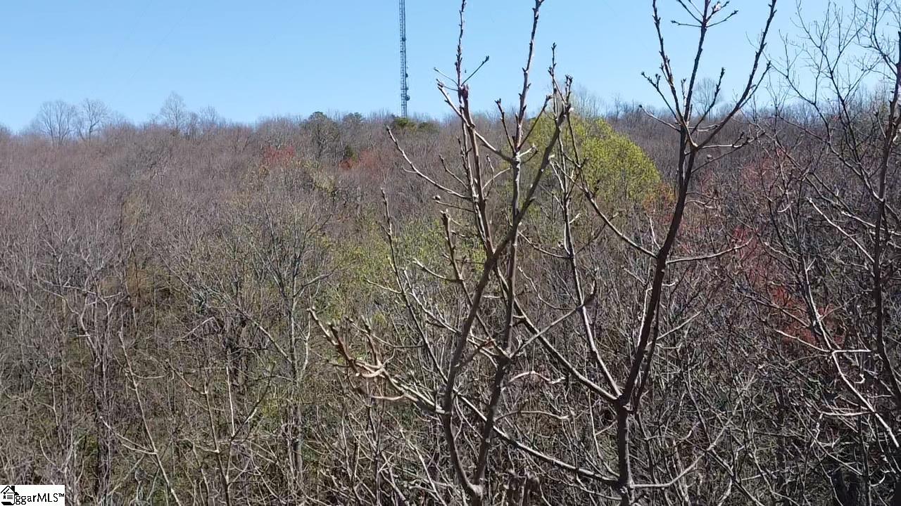 127 Conifer Falls, Cleveland, South Carolina image 19