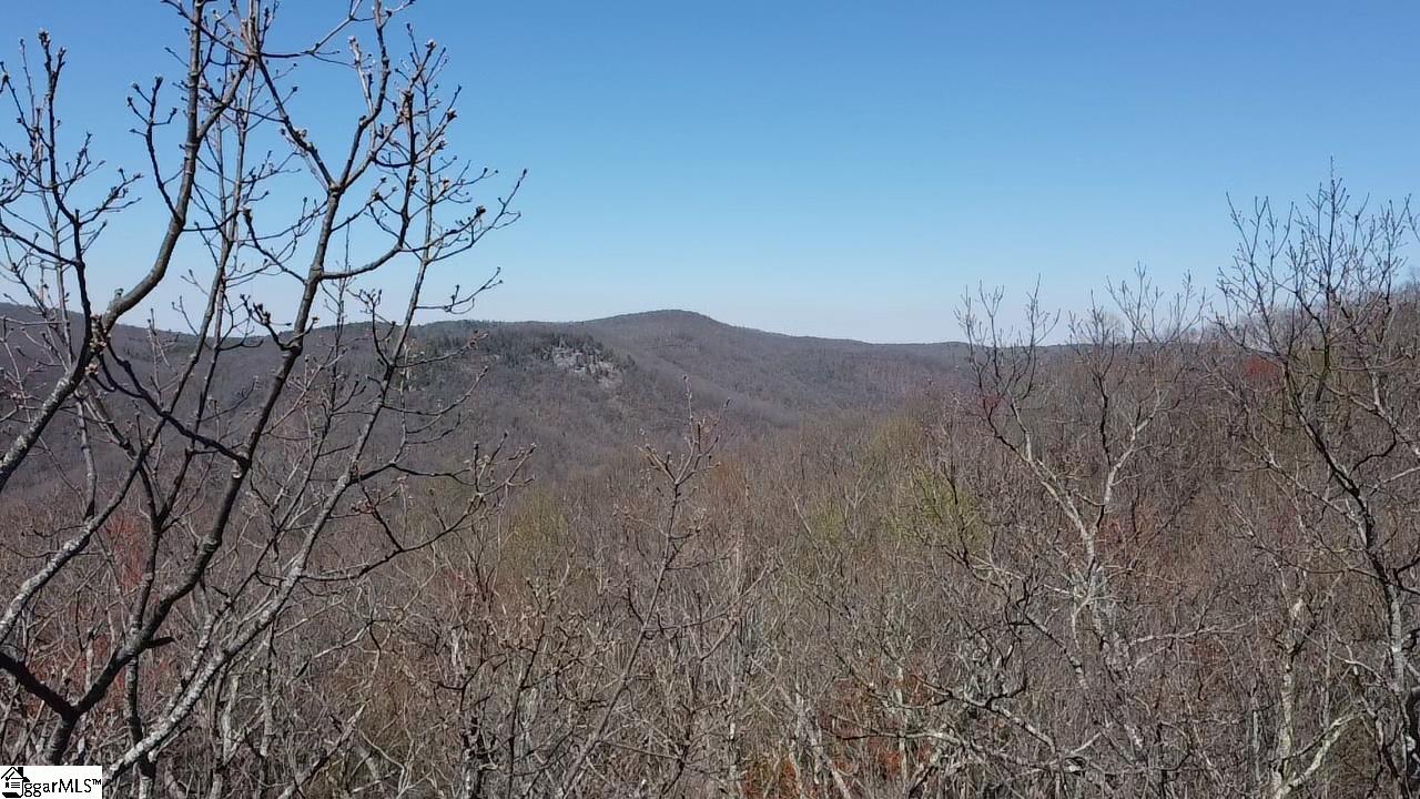 127 Conifer Falls, Cleveland, South Carolina image 20