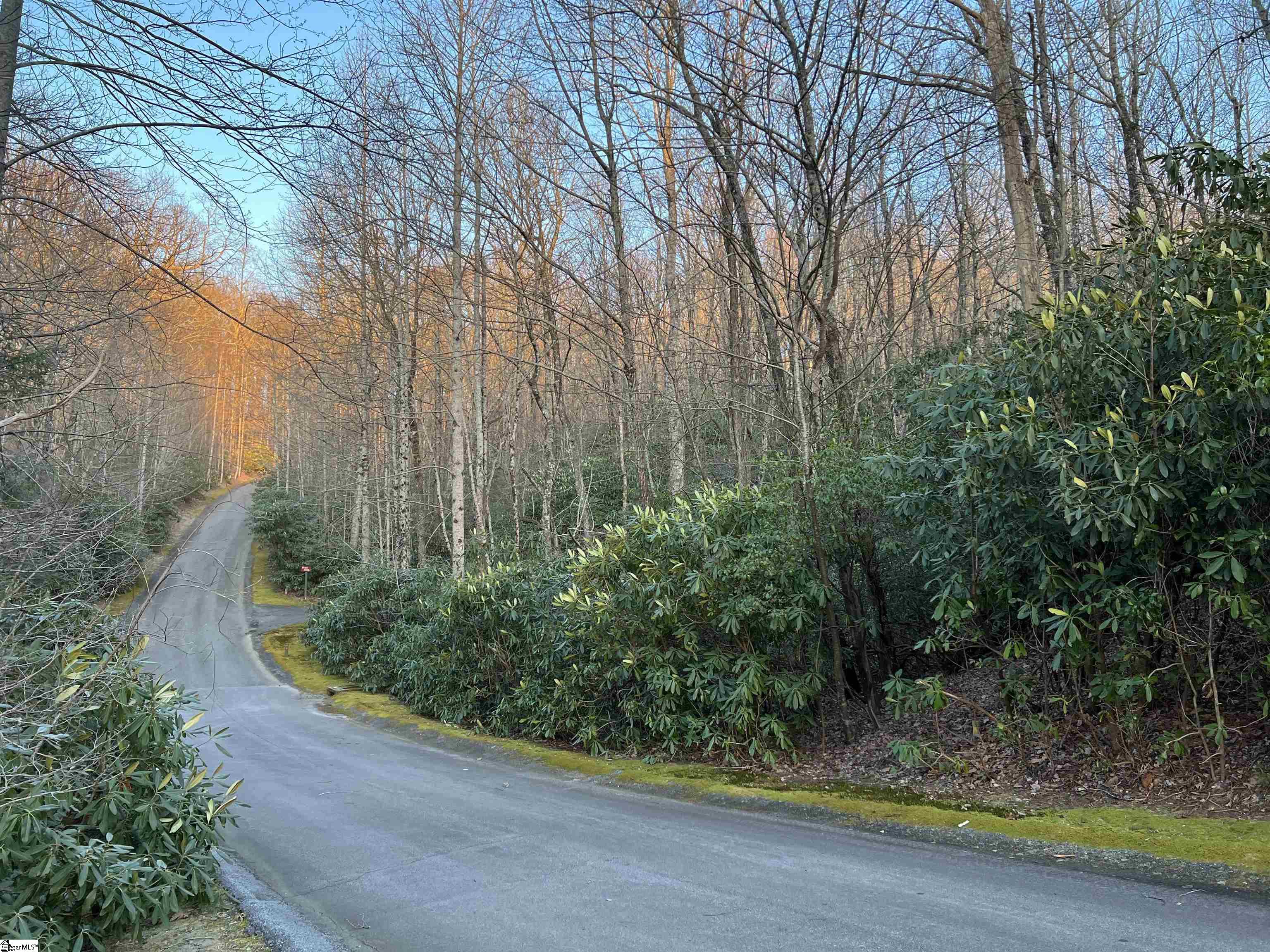 127 Conifer Falls, Cleveland, South Carolina image 3