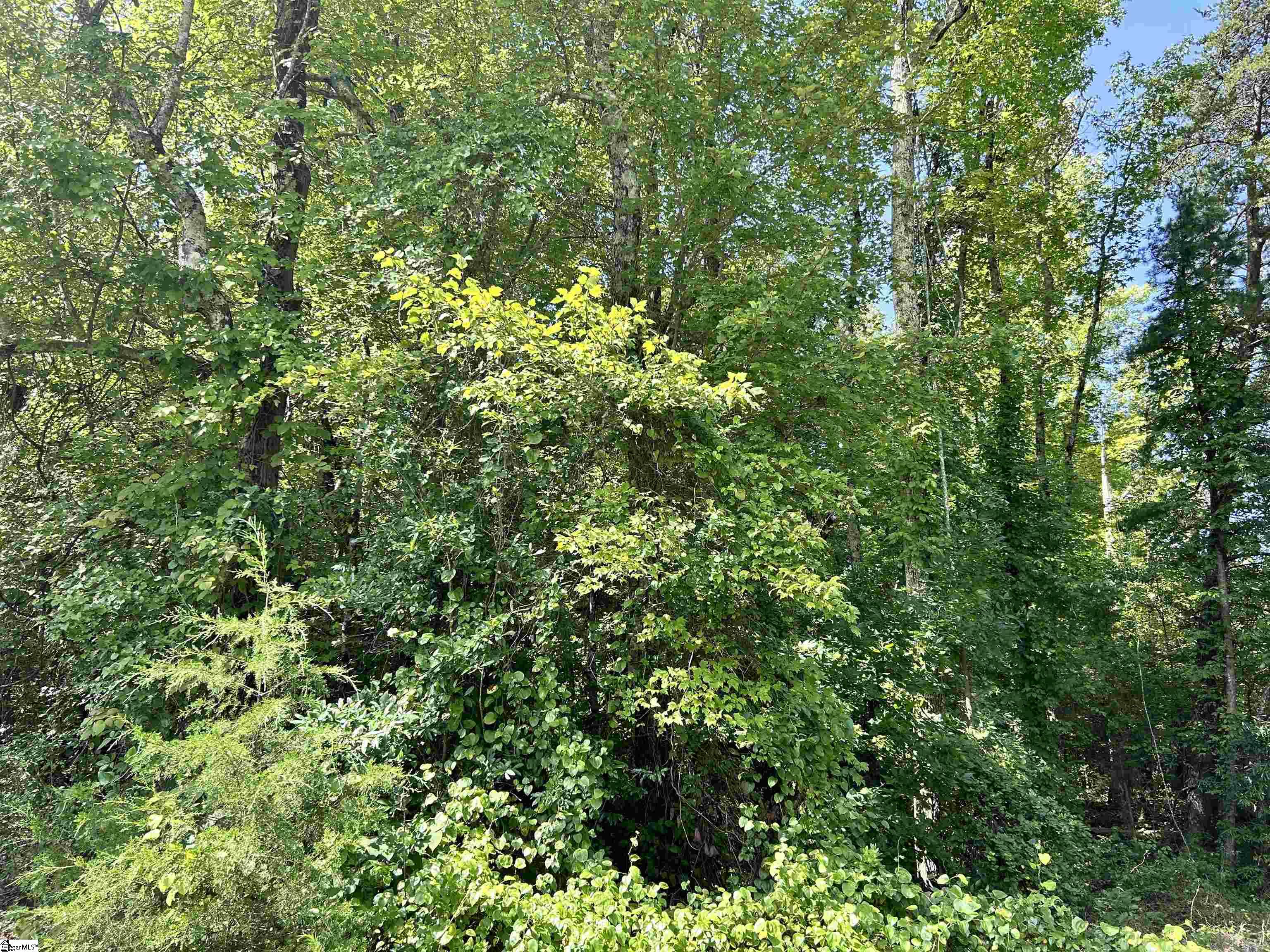 187 Hawkins Road