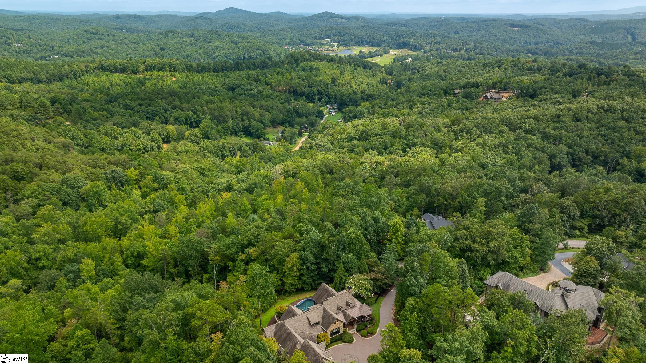 26 Crescent Pinyon, Marietta, South Carolina image 11