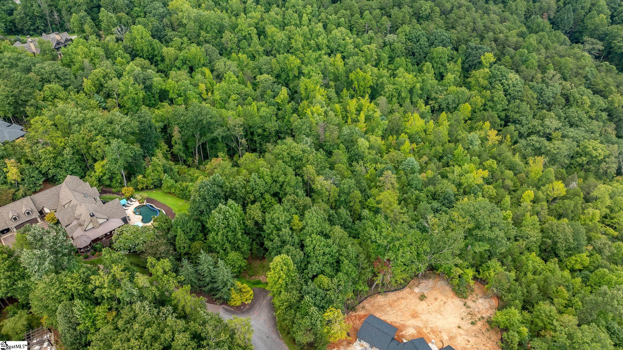 26 Crescent Pinyon, Marietta, South Carolina image 3