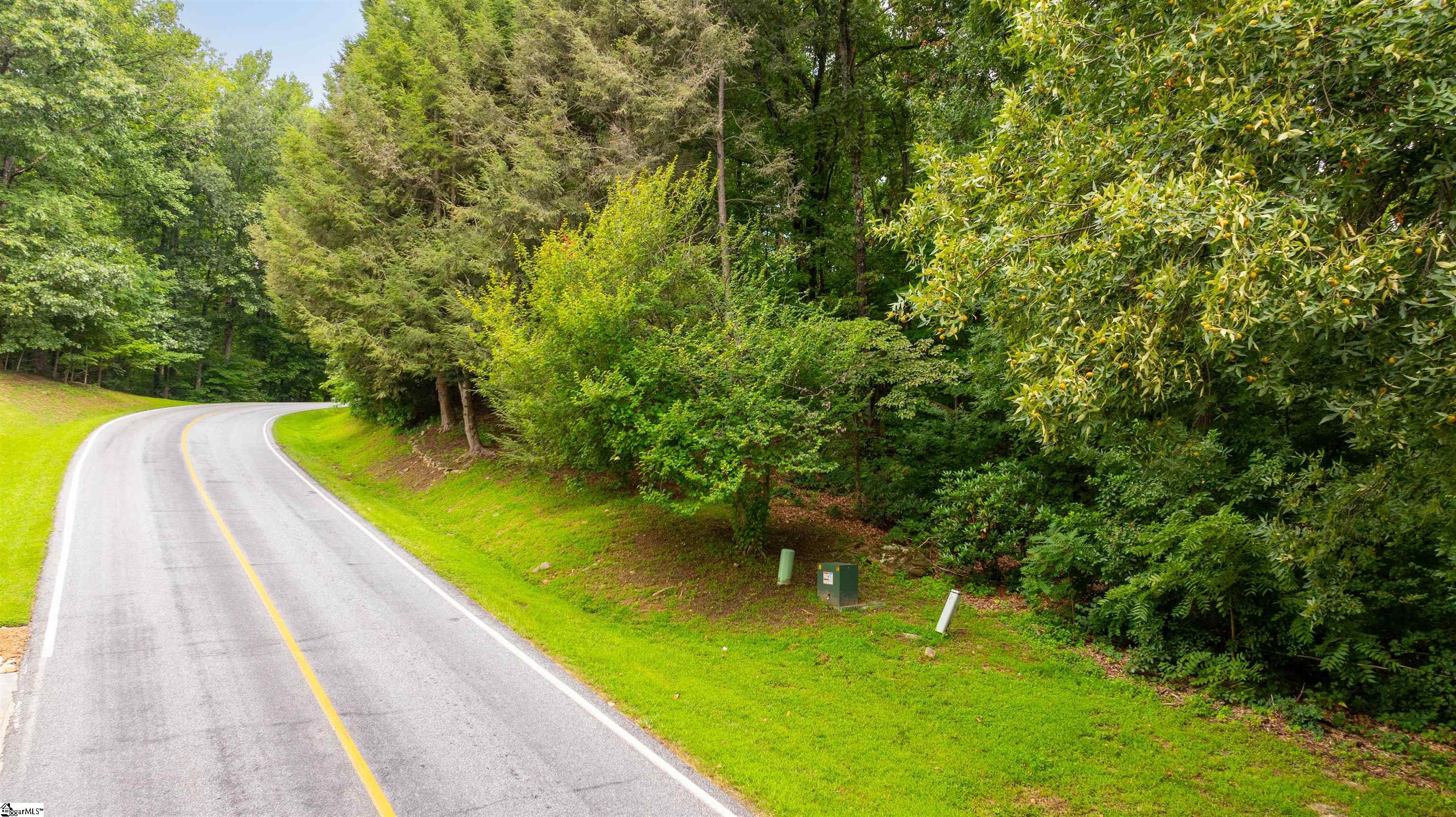 Plumley Summit, Landrum, South Carolina image 13