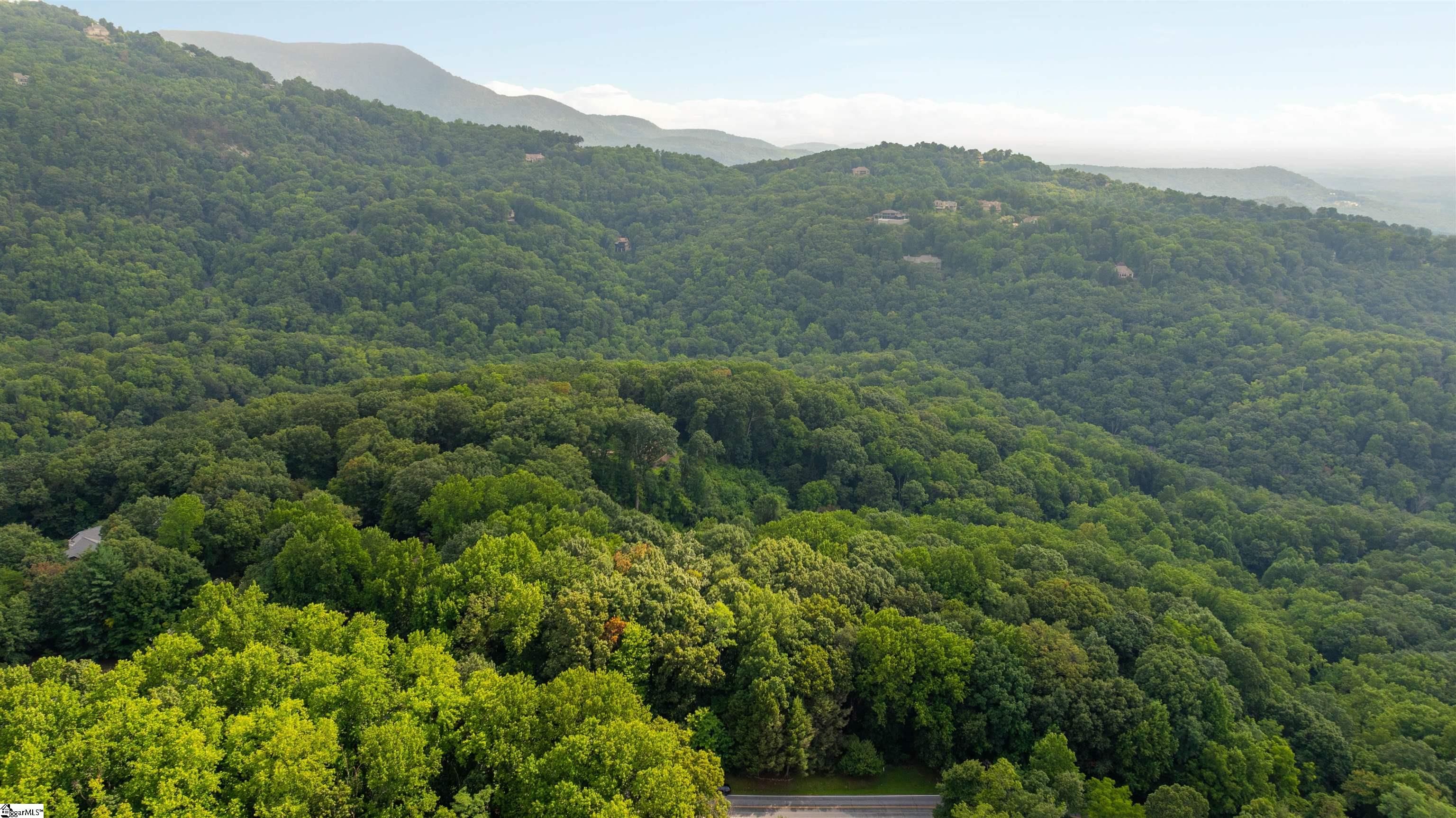 Plumley Summit, Landrum, South Carolina image 10