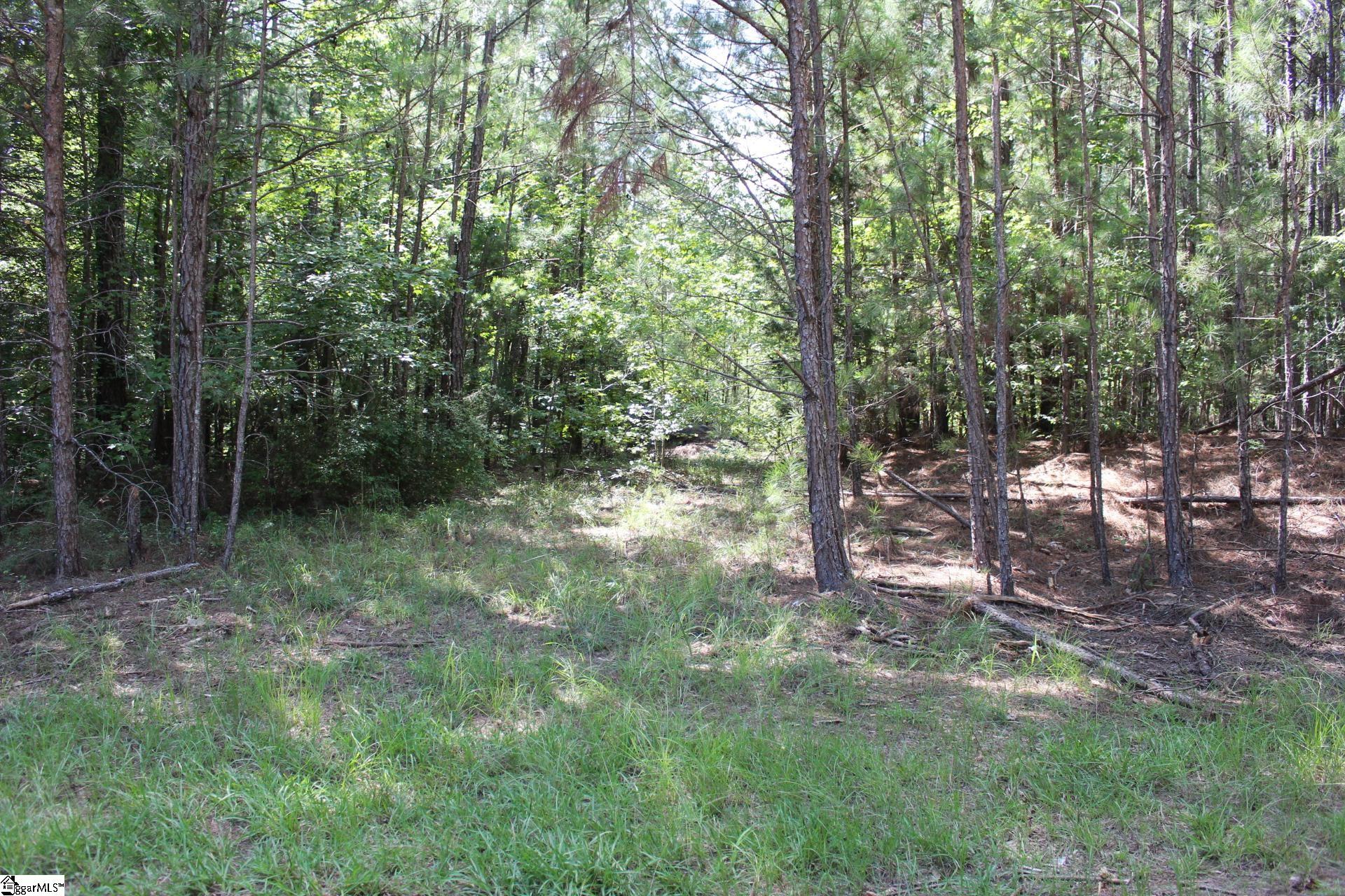 000 Coleman, Clinton, South Carolina image 17