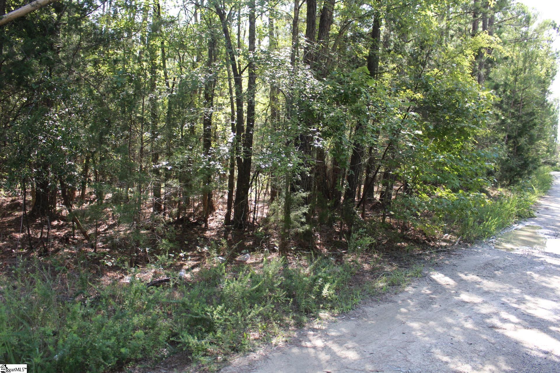 000 Coleman, Clinton, South Carolina image 21