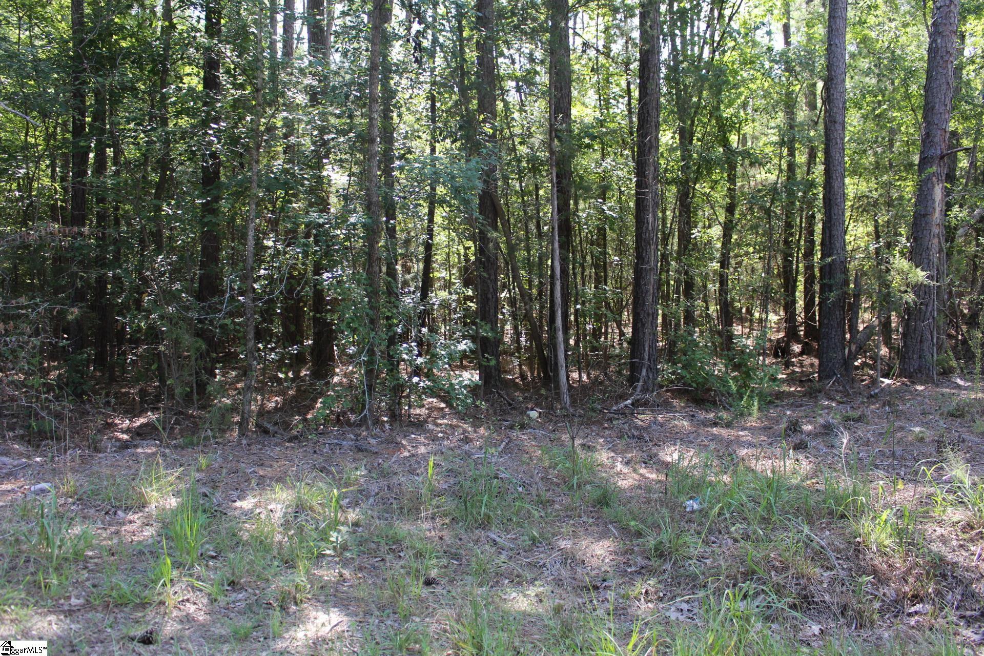 000 Coleman, Clinton, South Carolina image 22