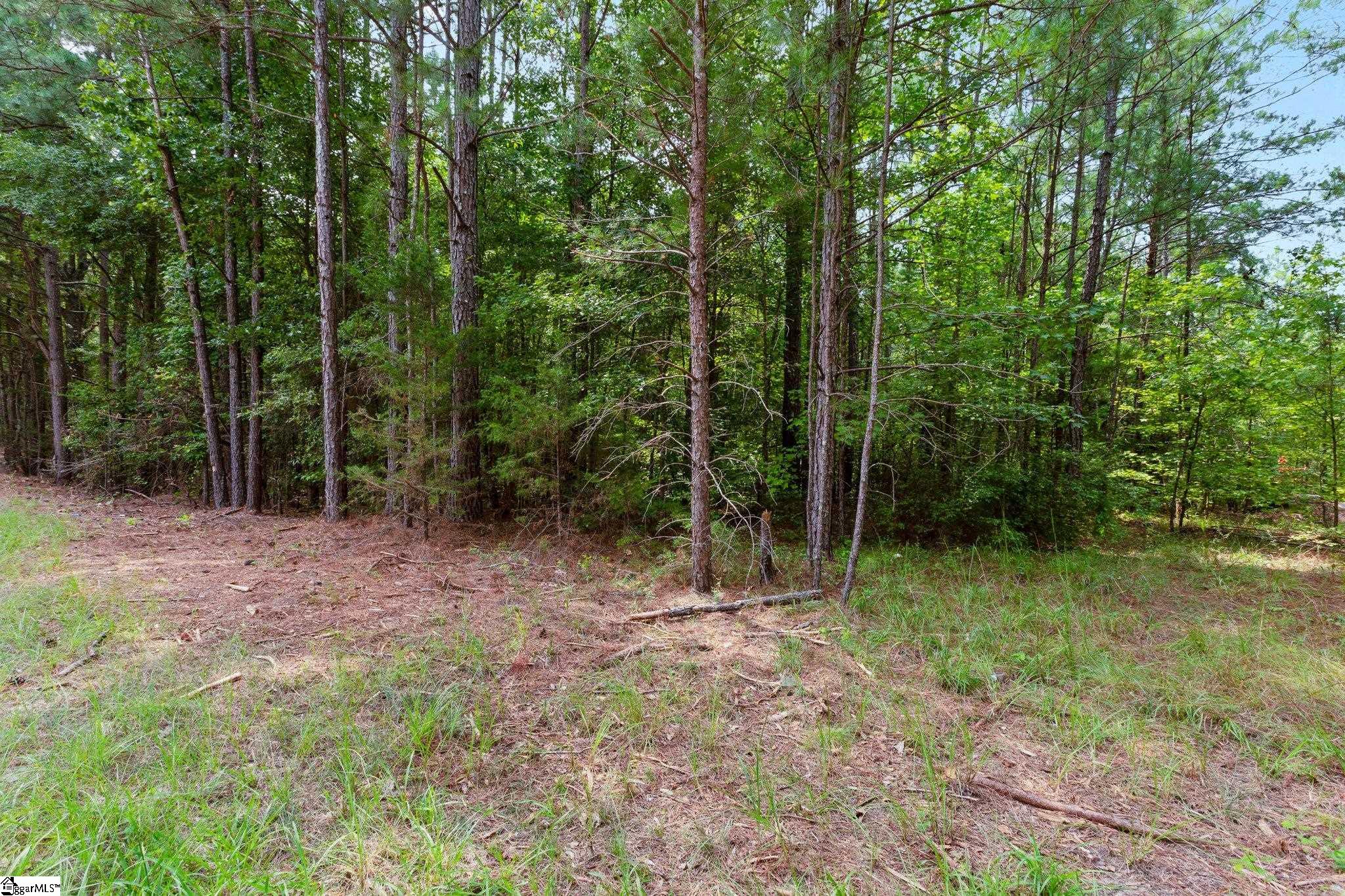 000 Coleman, Clinton, South Carolina image 29